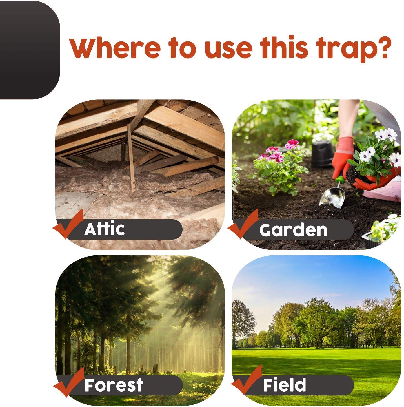 Red Squirrel Traps - Ouell Traps - Ground Squirrel Traps - Chipmunk Trap - Chipmunk Traps Outdoor - Human Trap