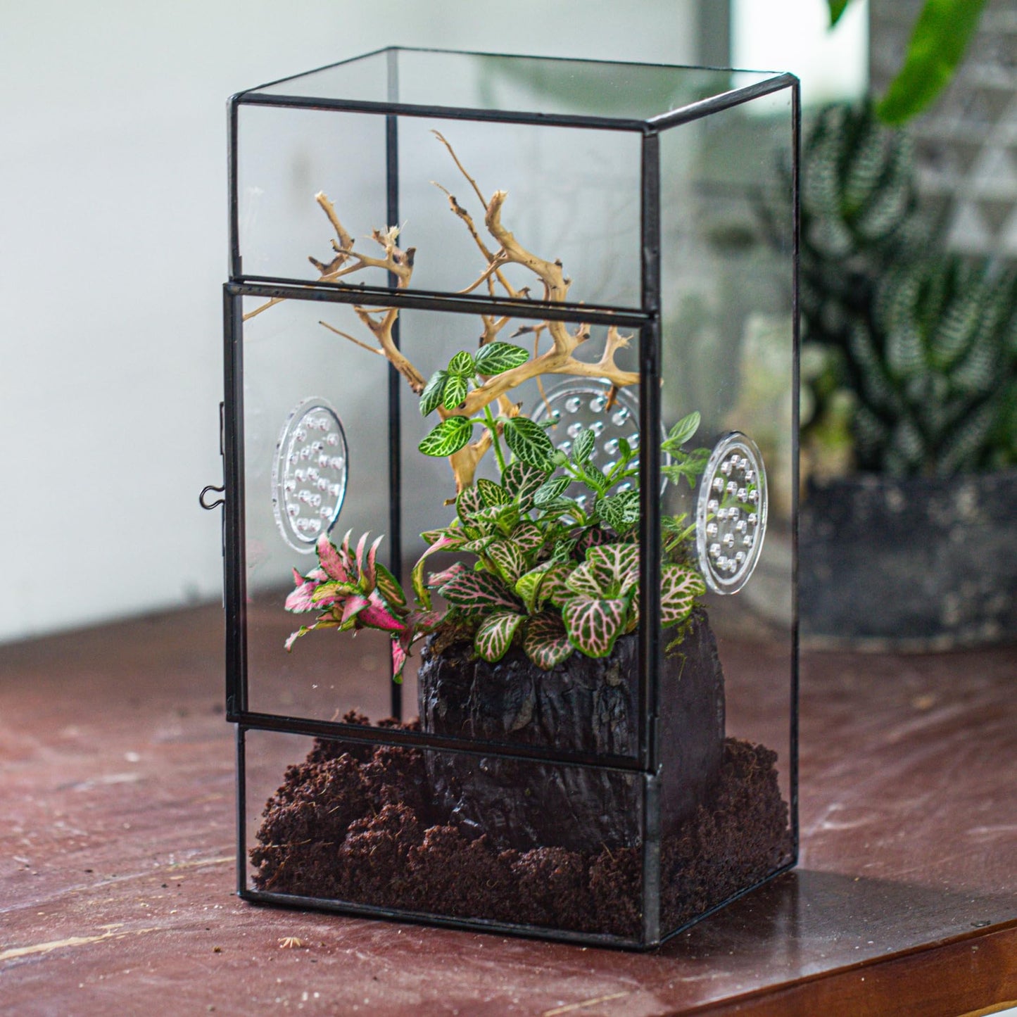 NCYP Glass Enclosure with Door and Vent Holes for Large Jumping Spider - 13 x 10 x 23 cm Front Opening Rectangle Black Terrarium - Holes Diameter 0.3cm (Terrarium Only)