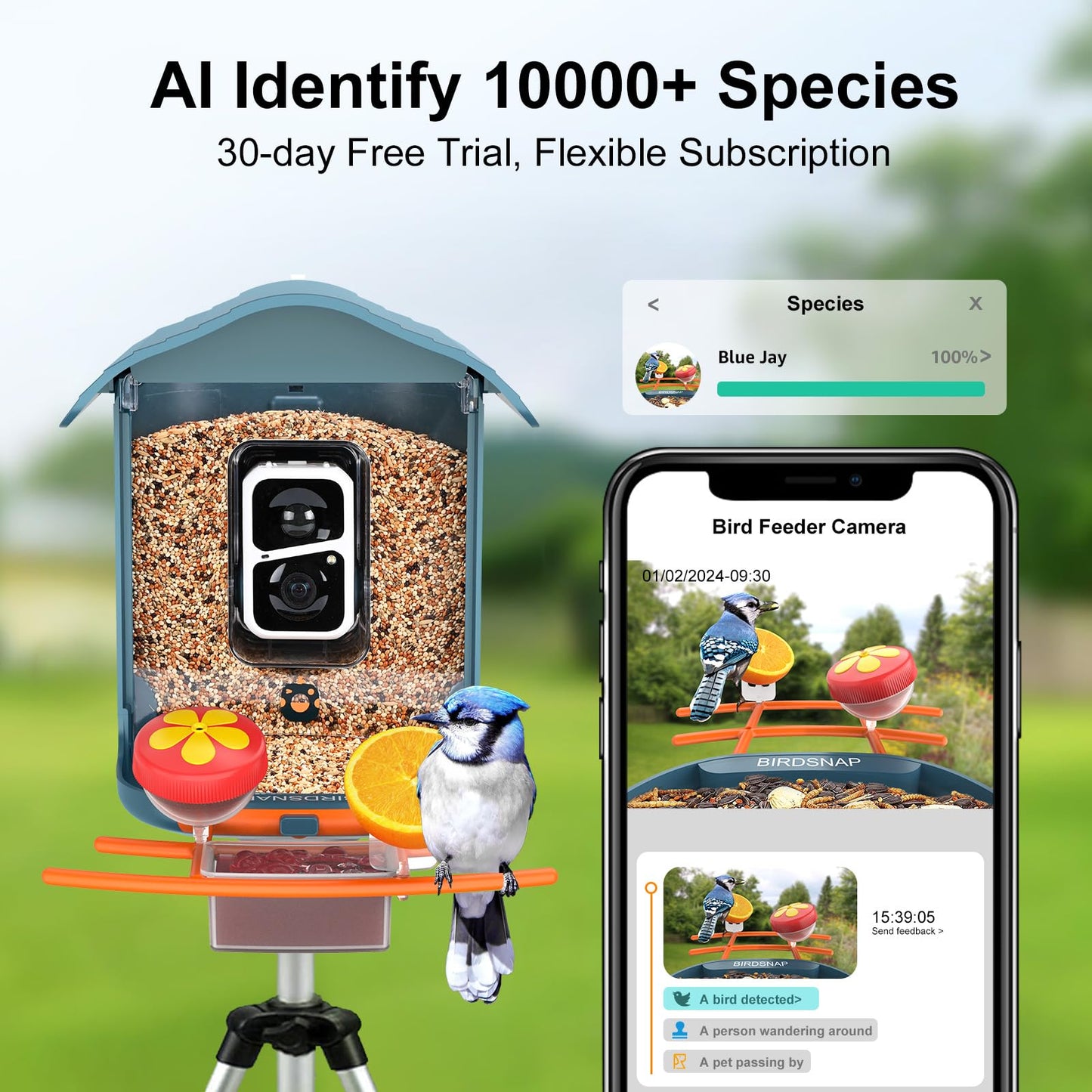 birdsnap® PAV- Smart Bird Feeder with Camera Solar Powered, 64GB Card & 2K HD Record Video Bird Camera Live with 5 DIY Add-ons, AI Identify Auto Capture, Ideal Gift for Birds Lover