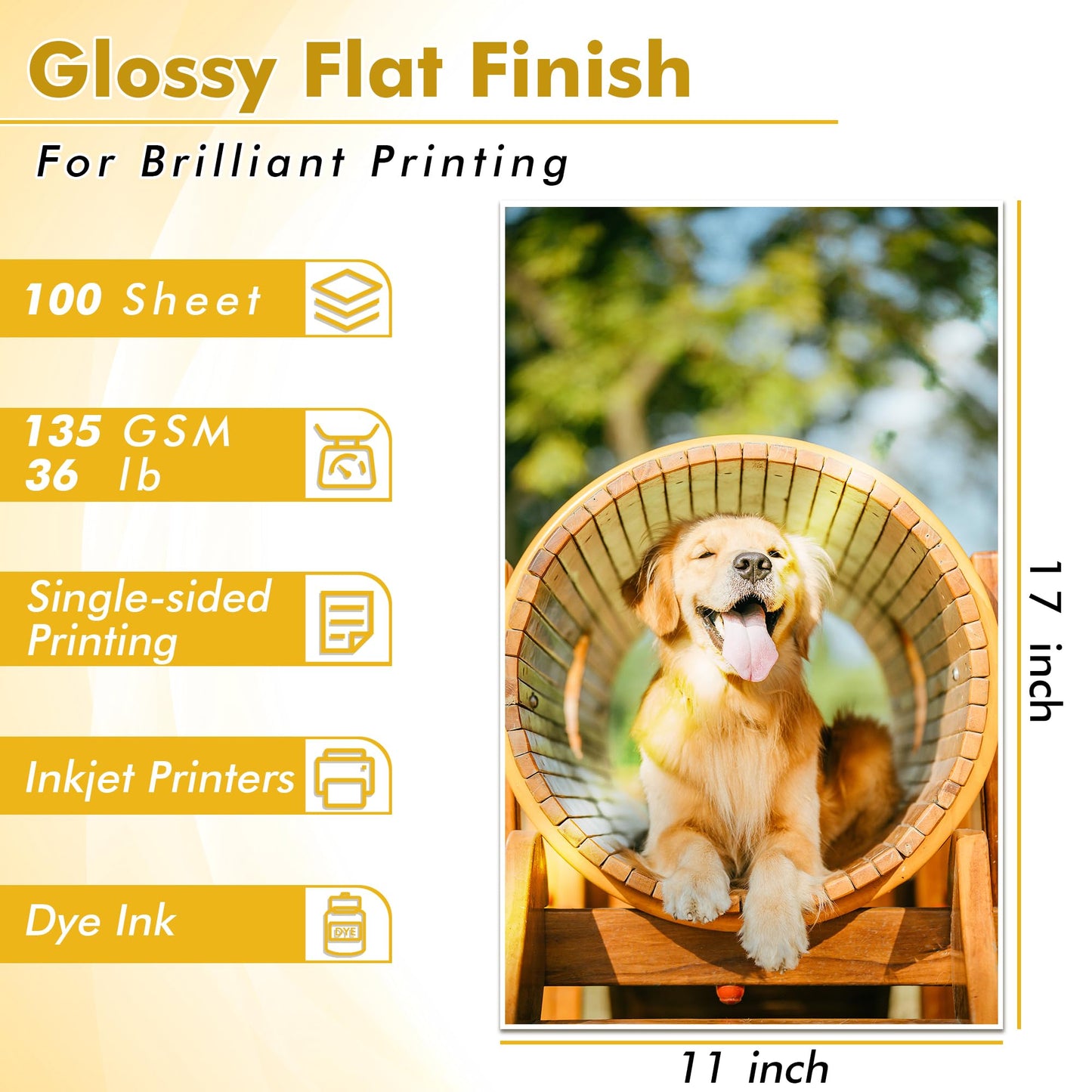 Koala Glossy Thin Inkjet Printer Paper 11x17 Inches for Printing Brochure Flyer Glossy 100 Sheets 36Lb for Inkjet Printers DYE INK