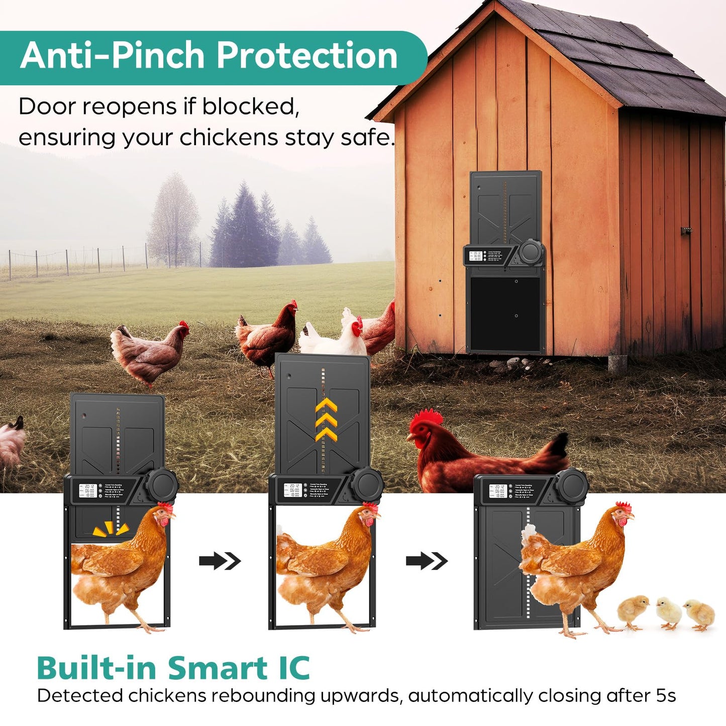 Large Automatic Chicken Coop Door, Aluminum Automatic Chicken Door with Manual & Timer Mode, Anti-Pinch & Battery Powered, LCD Display Chicken Door for Chickens, Ducks, and Geese