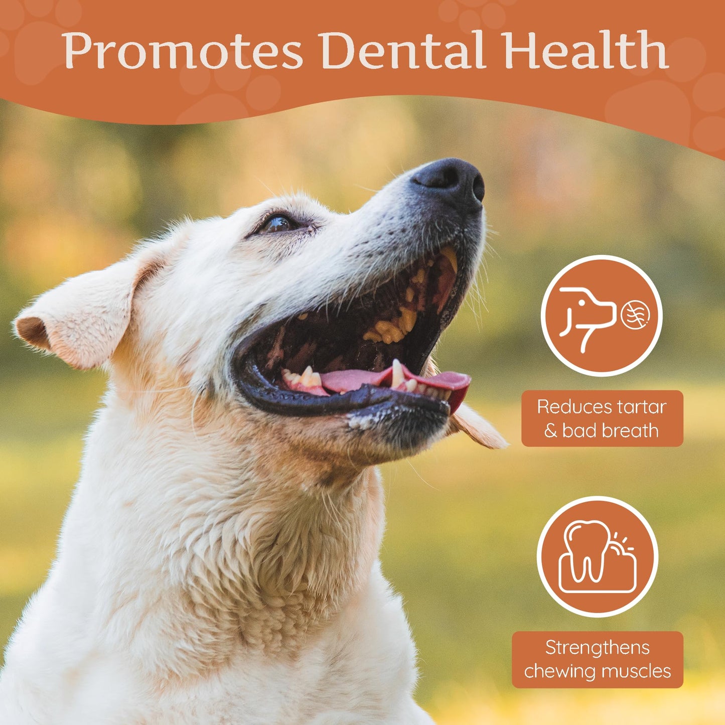 Wildfang® Tree Heather Root for Dogs, L – Splinter-Free Chewing Root, Natural Wood Chew Toy for Aggressive Chewers, Odourless Dog Chew Toy for Healthy Teeth & Gums (for Dogs 25–45 kg), Pack of 3