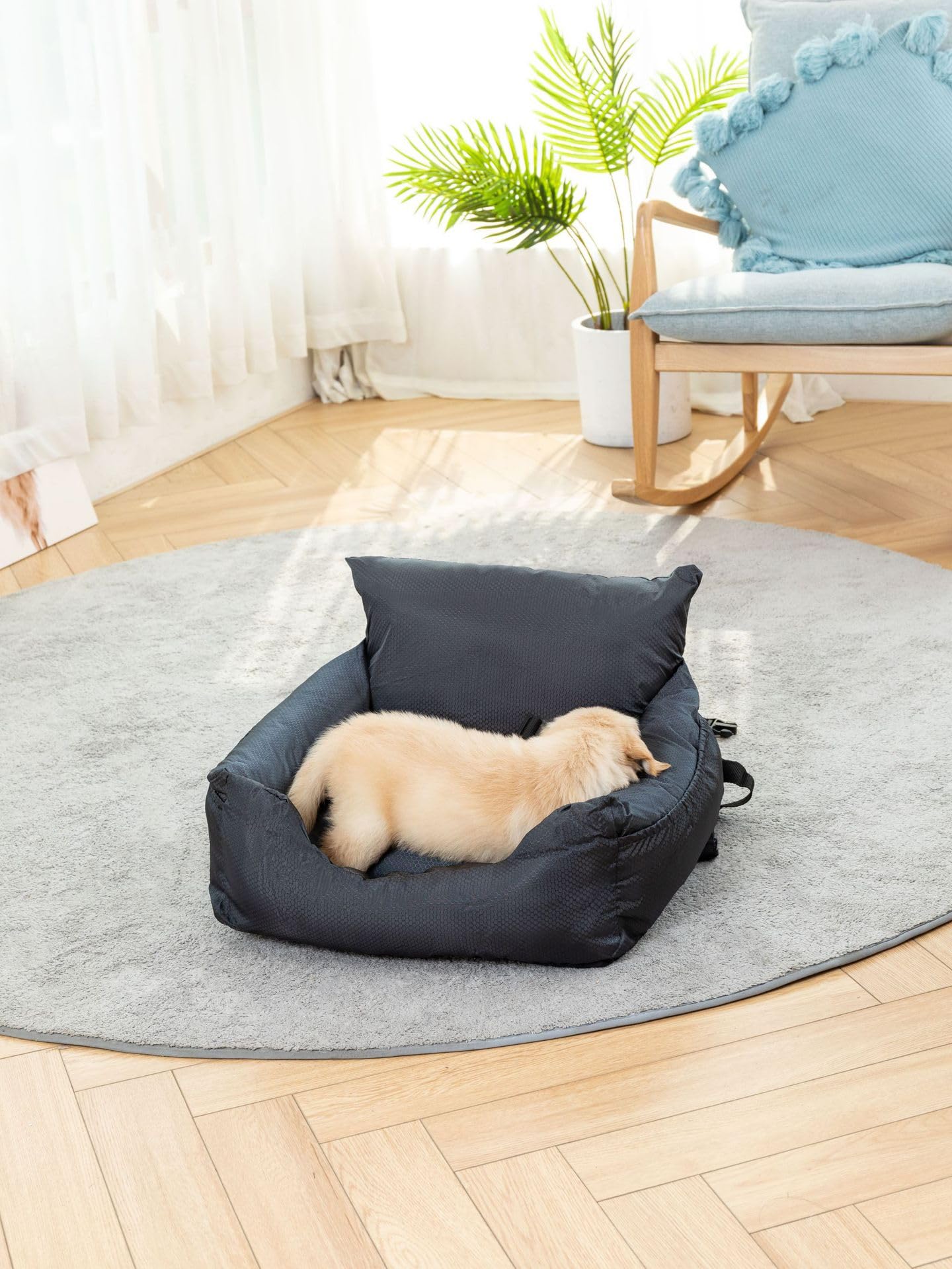 Travel Paw Car Seat for Small Dogs, Cat seat, Cat Booster, Pet Booster, Pet Seat, pet Pillow, Bed, Water Resistant, Fully Detachable with Side Pockets and Safety Clip-on Leash