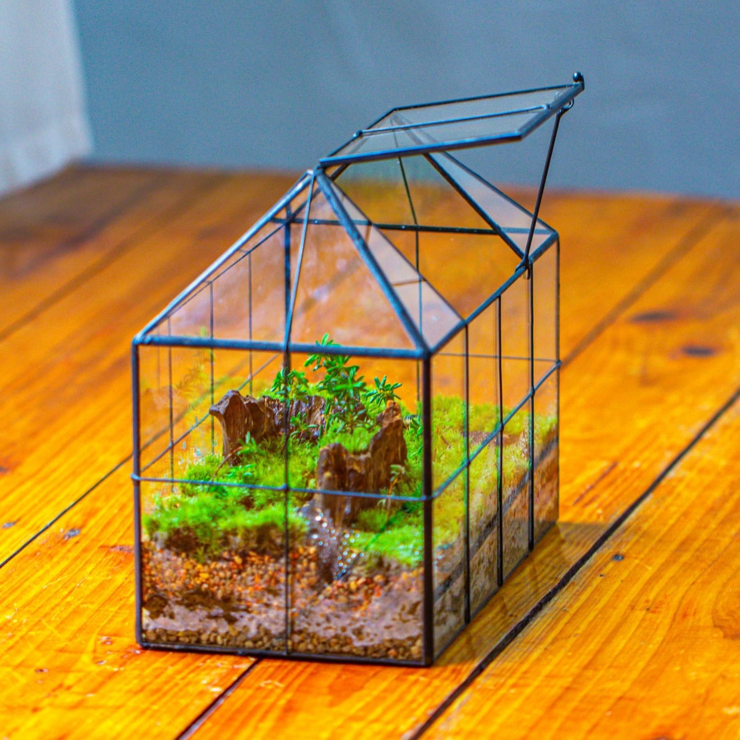 NCYP Geometric Terrarium Planter - 25x13.5x20 cm - Grid House Shape Glass Terrarium Box for Succulent Cacti Air Plants, Modern Indoor Tabletop Centerpiece, Flower Pot, Black (No Plants)
