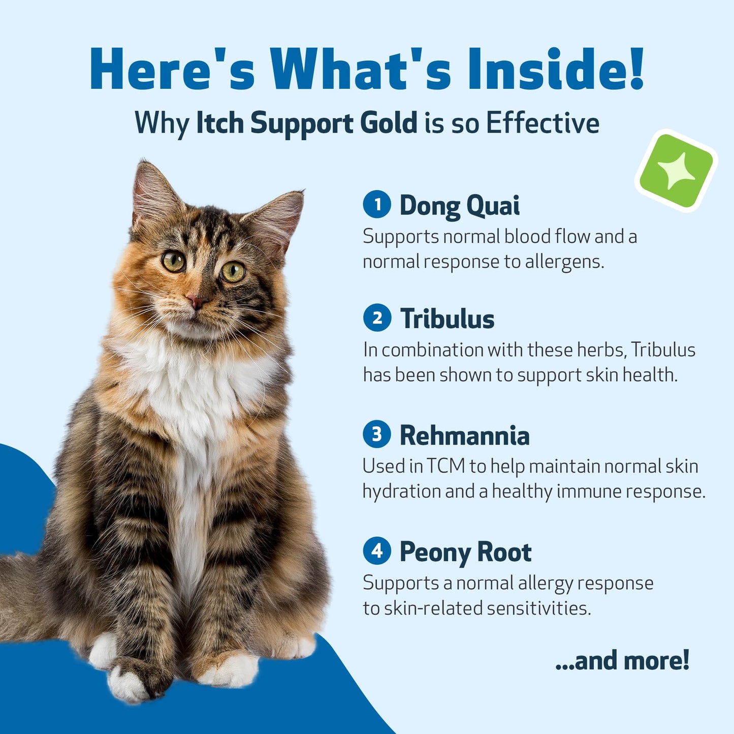 Pet Wellbeing Itch Support Gold for Cats - Occasional Itching, Scratching, and Hot Spots, Environmental and Seasonal Allergies, Dong Quai - Veterinarian-Formulated Herbal Supplement 4 oz (118 ml)