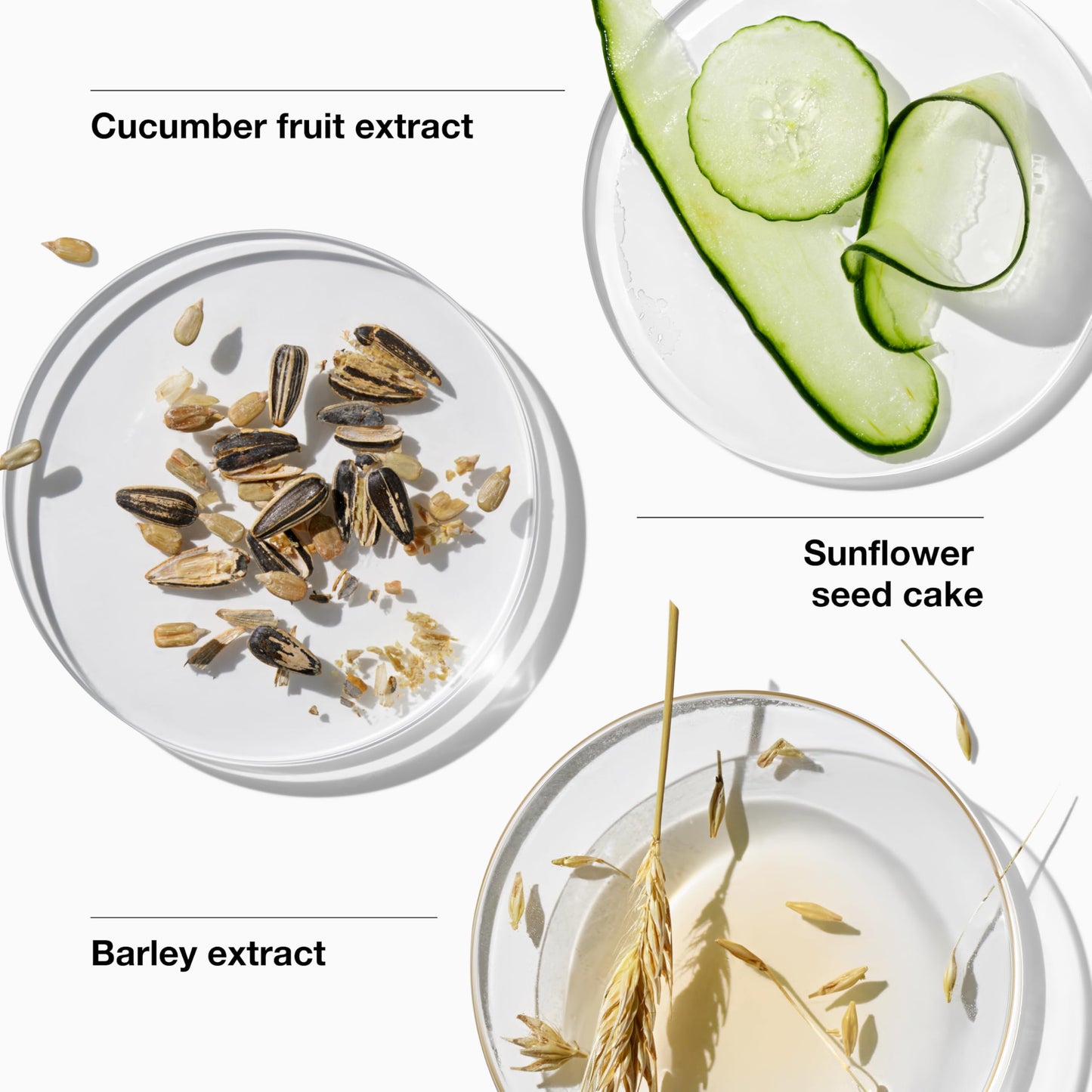 Clinique 3-Step Dramatically Different Moisturizing Oil Free Gel For Combination Oily to Oily Skin Types, 200ml