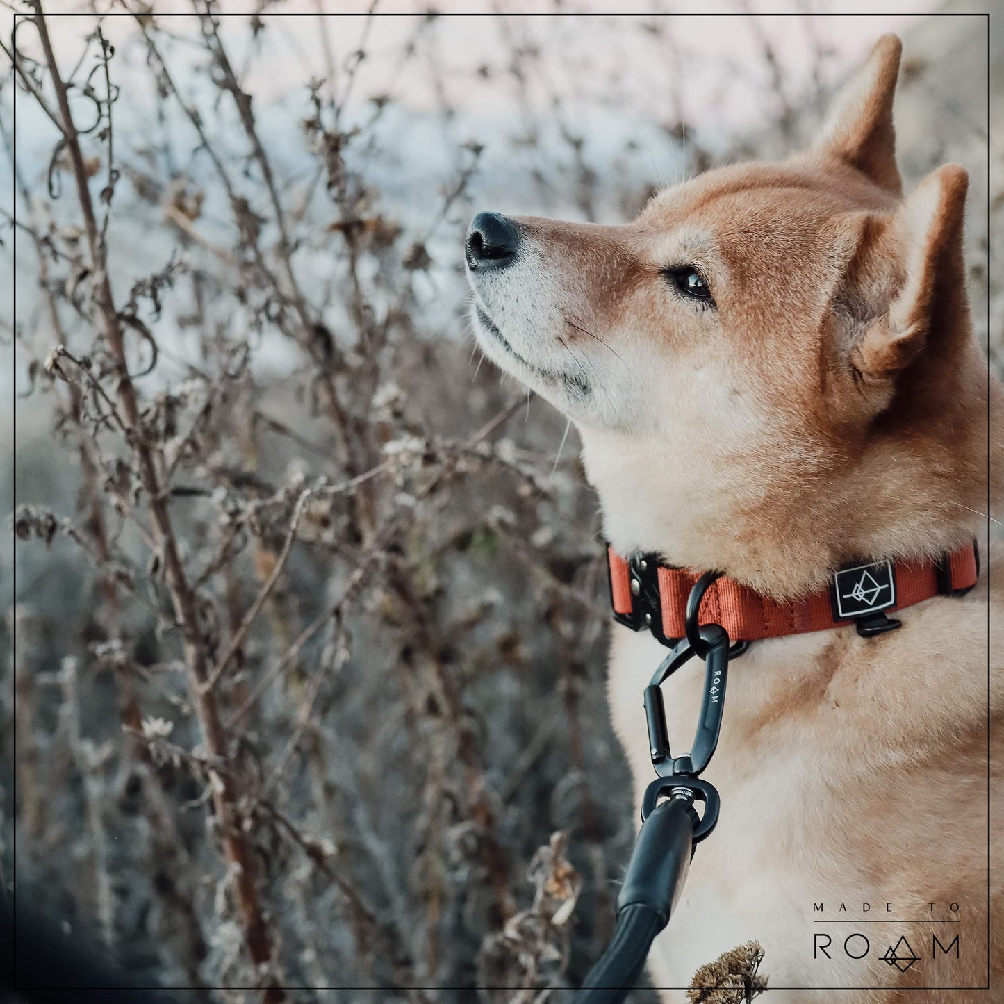 MADE TO ROAM Premium Everyday Leash - Ultra Soft Dog Leash with Aviation Aluminum Carabiner for Small, Medium, Large Dogs - California Horizon, 6ft (Rubber Coated Metal Clamps)