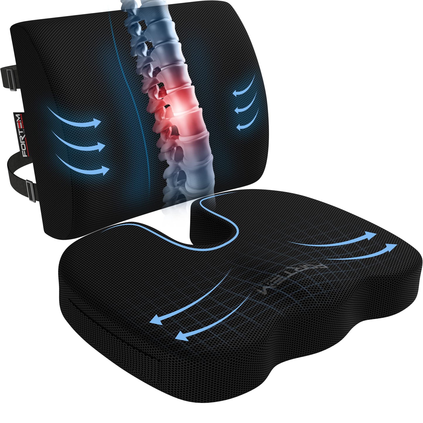 FORTEM Chair Cushion, Seat Cushion for Office Chair, Lumbar Support Pillow for Chair, Car Seat Cushion, Back Support Memory Foam Pillow Washable Cover (Black, Mesh)