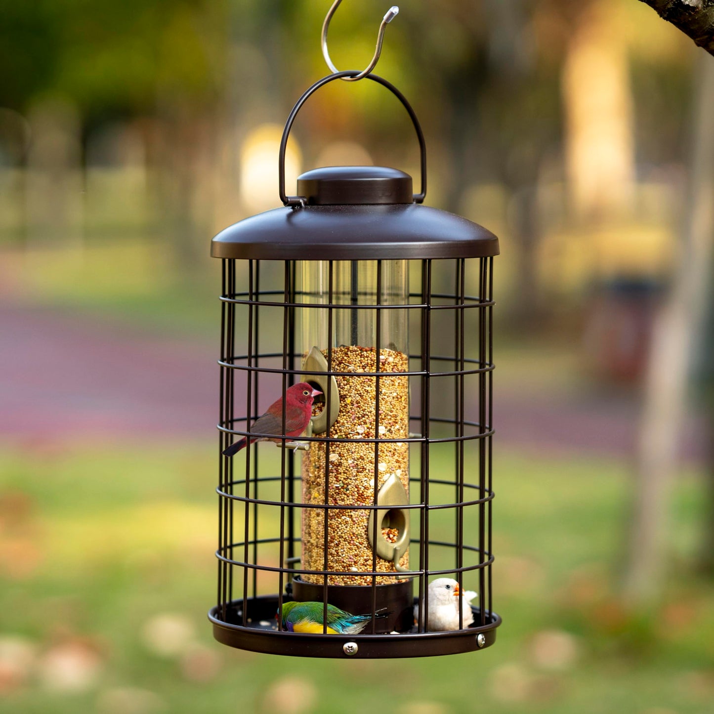 Caged Bird Feeders Metal - 3 Lbs - Squirrel-Proof Wild Bird Tube Feeder Hanging Outside, Detachable Cleaning, 4 Feed Ports(Copper)