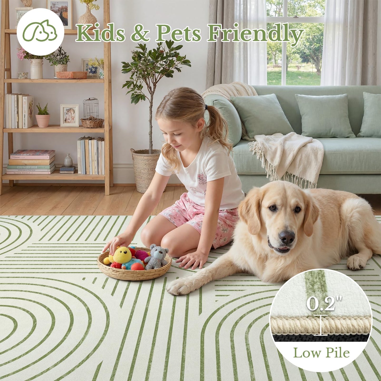 Dadasgk Washable Area Rug 5x7 - Boho Living Room Rug Soft Indoor Carpet Ultra-Thin Sage Green Modern Abstract Rainbow Rugs for Bedroom Dining Room Nursery Classroom Home Decor
