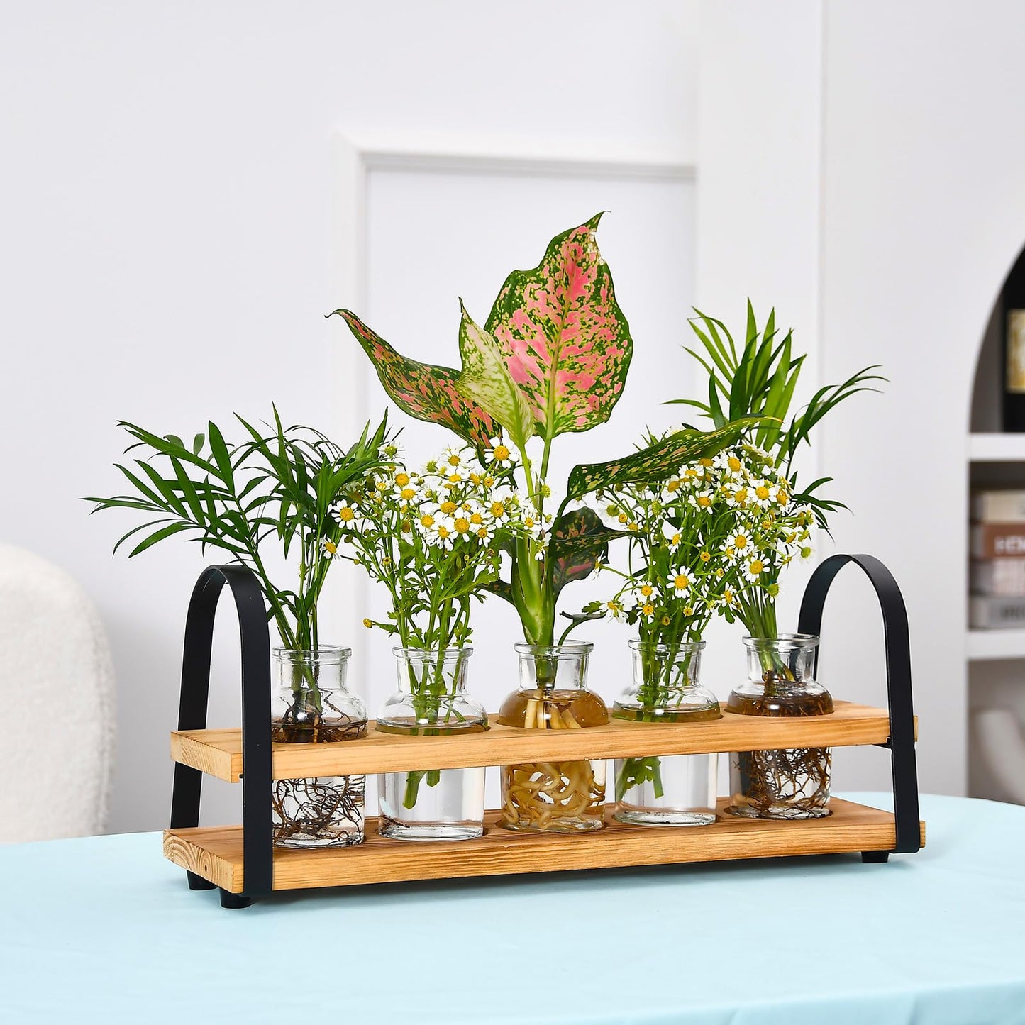 VIKEYHOME Plant Propagation Station with Wood Stand, Desktop Terrarium for Hydroponic, Flower Vase for Home, Kitchen, Office Decor, Plant Lover Gifts