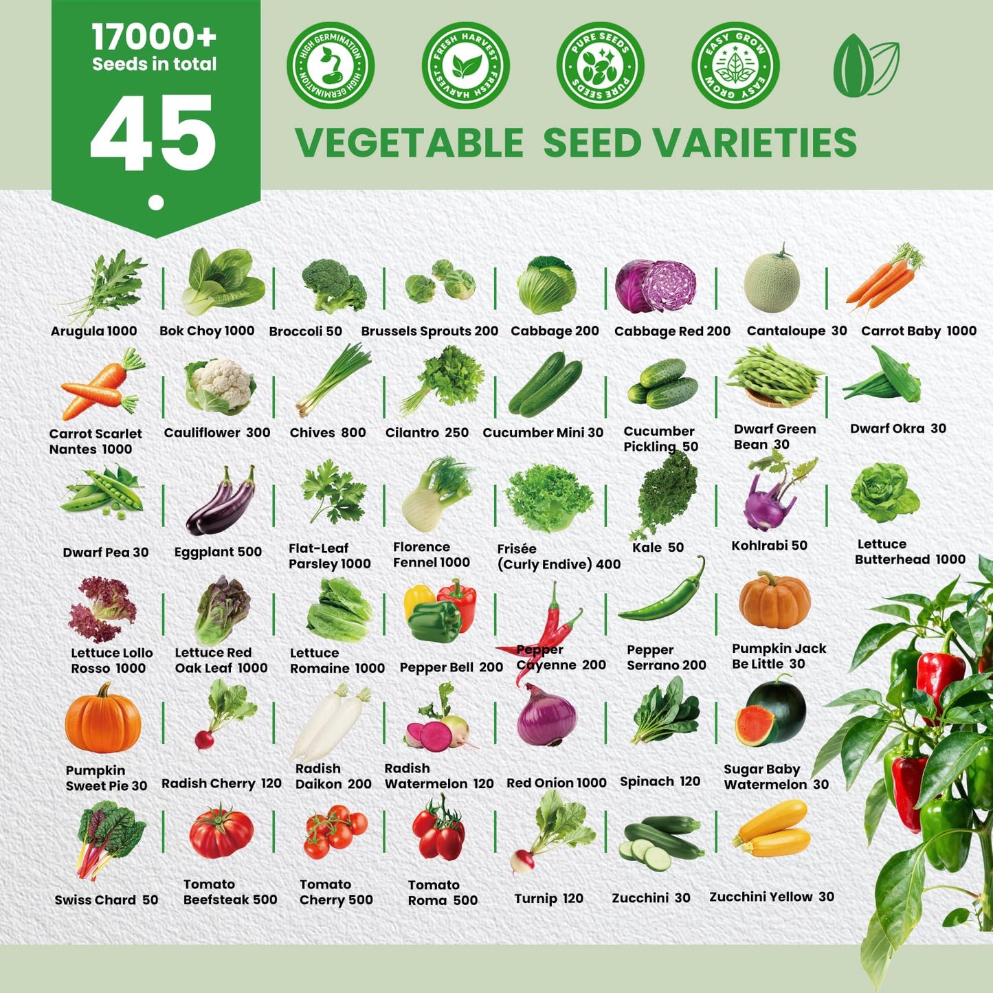 45 Vegetable Seeds Variety Pack - 17,000+ Non-GMO Heirloom for Planting Garden Seed Packets, Indoor & Outdoors Gardening -Seed Vault Kit, Friend Gift,Tomato Cabbage Spinach Cucumber Lettuce