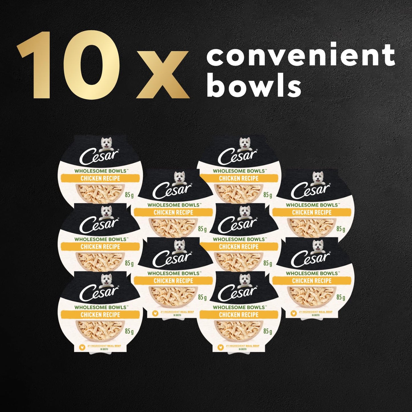 Cesar Wholesome Bowls Adult Wet Dog Food Chicken, 85g Pack of 10