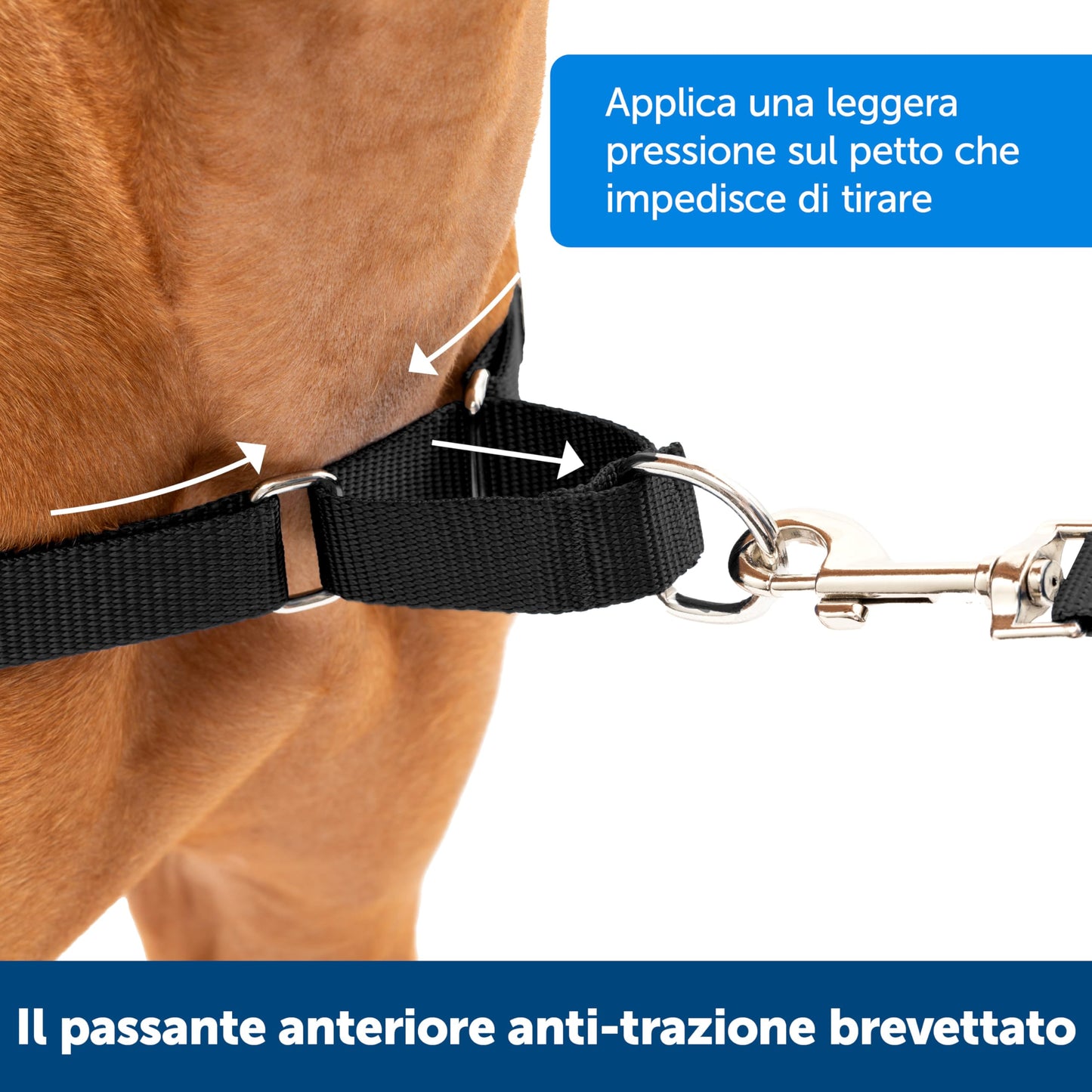 PetSafe Easy Walk Harness, No Pull Harness for Dogs, Adjustable Harness with Included Matching Lead, Black, Large