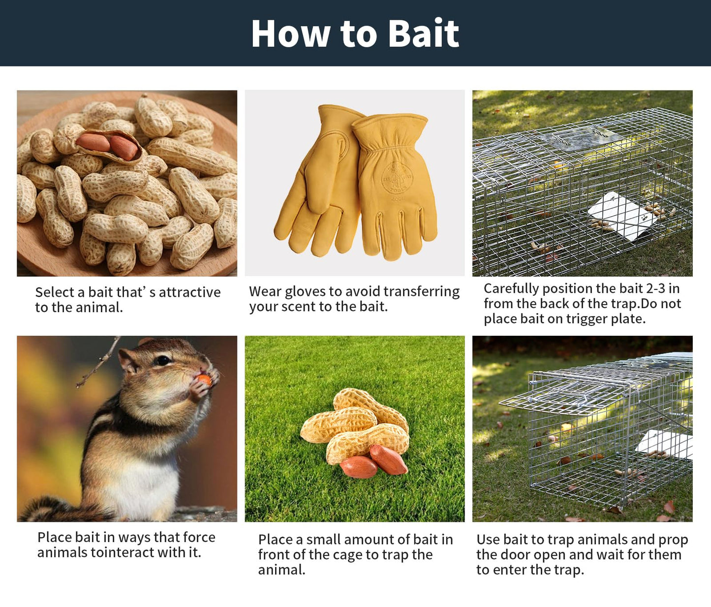 32" Live Animal Trap,Humane Live Animal cage Trap for Squirrels,Small Stray Cats,Rabbits