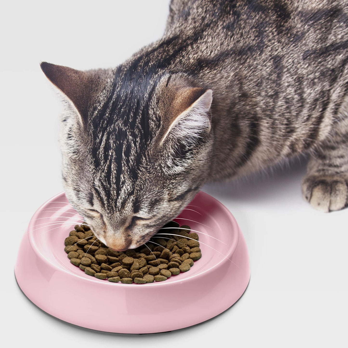 CatGuru Cat Bowls, Whisker Stress Free Cat Food Bowl, Reliefs Whisker Fatigue, Wide Cat Bowl, Non Slip Cat Food Bowls, Shallow Cat Dish, Cat Feeding & Watering Supplies (Set of Two, Pink)
