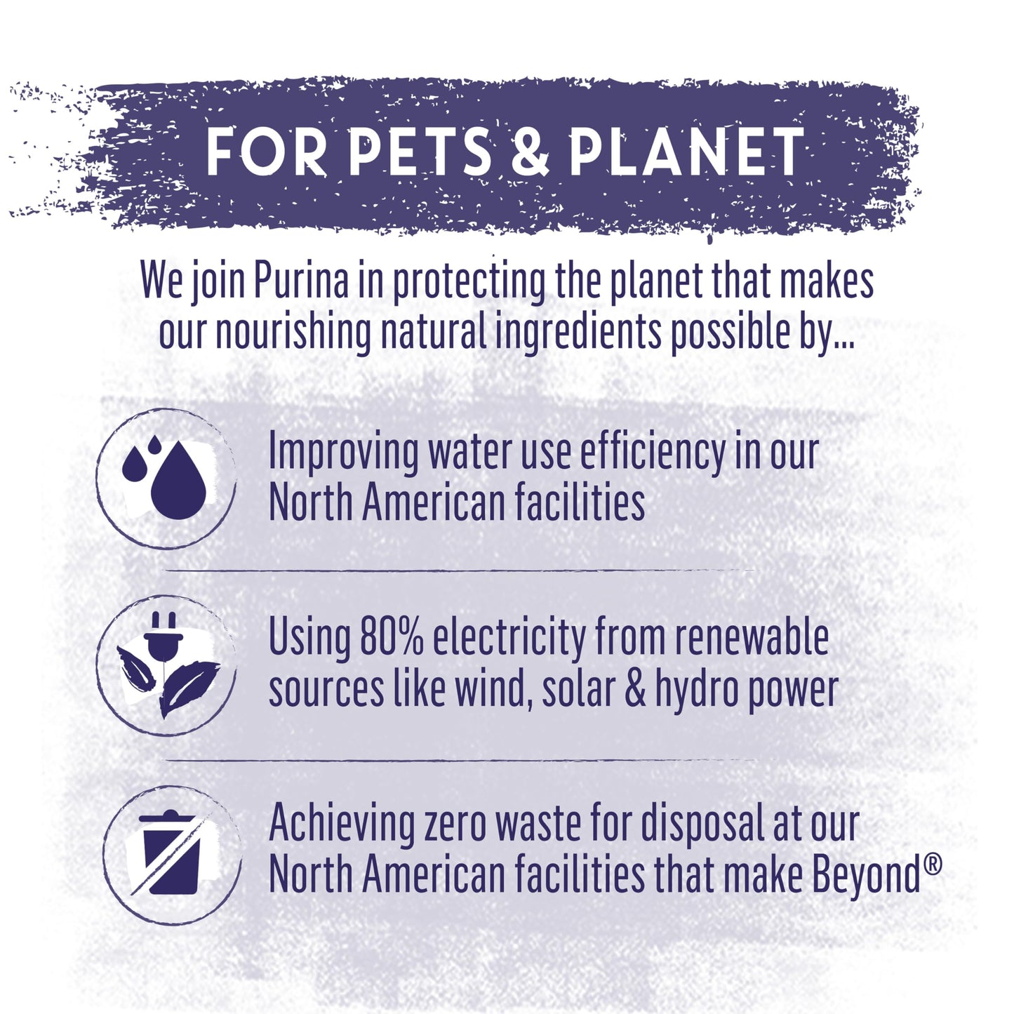 Beyond Wild Dry Dog Food, Turkey, Egg & Bone Broth Recipe - 4.5 kg Bag (1 Pack)