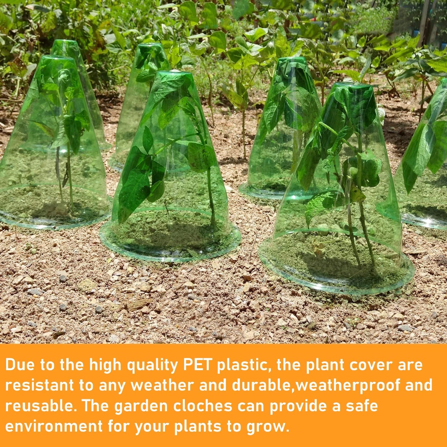 【36 Pieces】 Garden Cloches for Plants, Multifunctional Plant Cover Plant Protectors Transparent Bell Jar Cloche Protection Plants from Birds, Animals, Frost, Freeze Weather,7.8" D x 9.4" H, Green