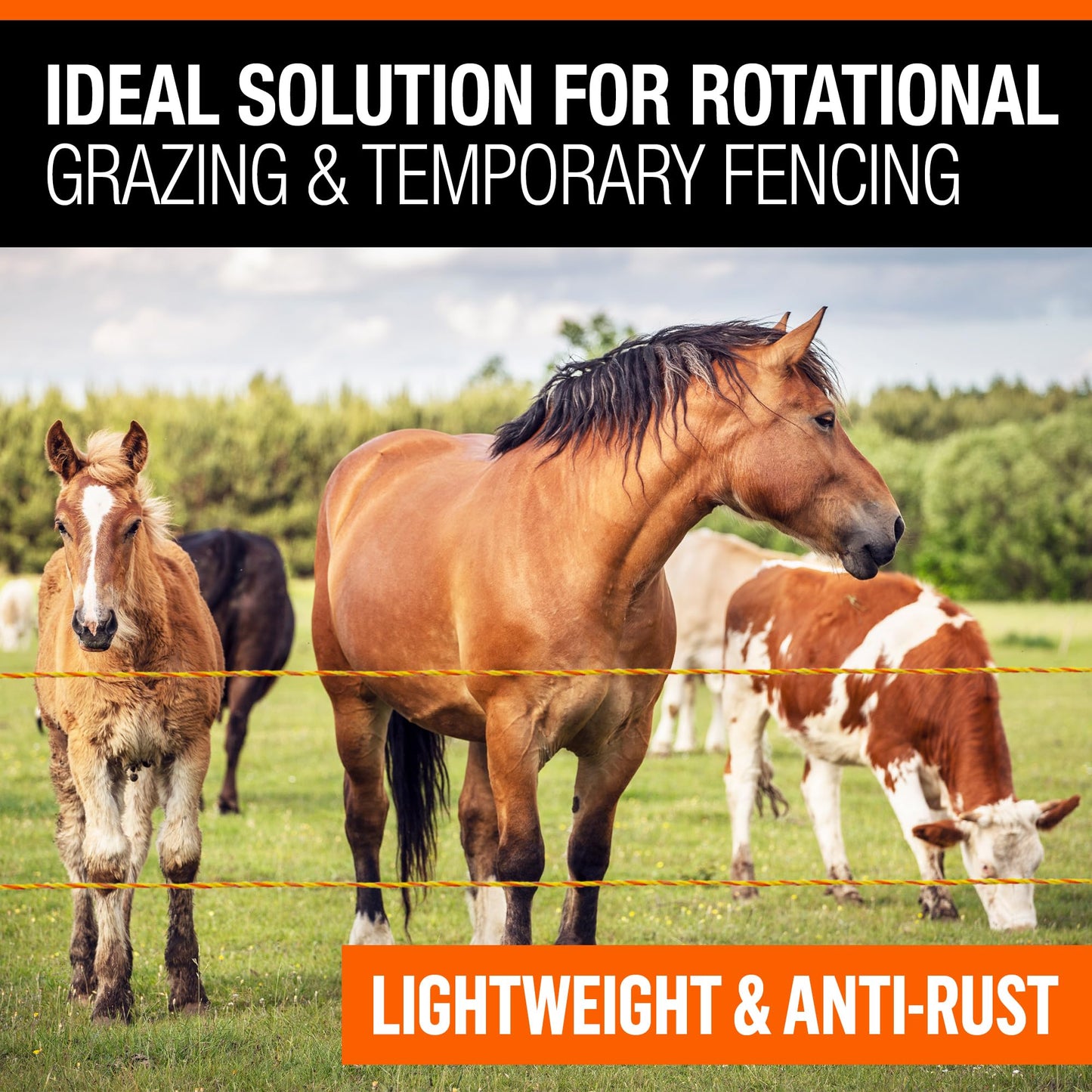 Electric Fence Polywire 3mm with 9 Stainless Steel Strands - High Visible Wire Fencing for Horse, Cattle, Livestock - Portable Fencing with UV and Rust Resistance (1640ft / 500m)