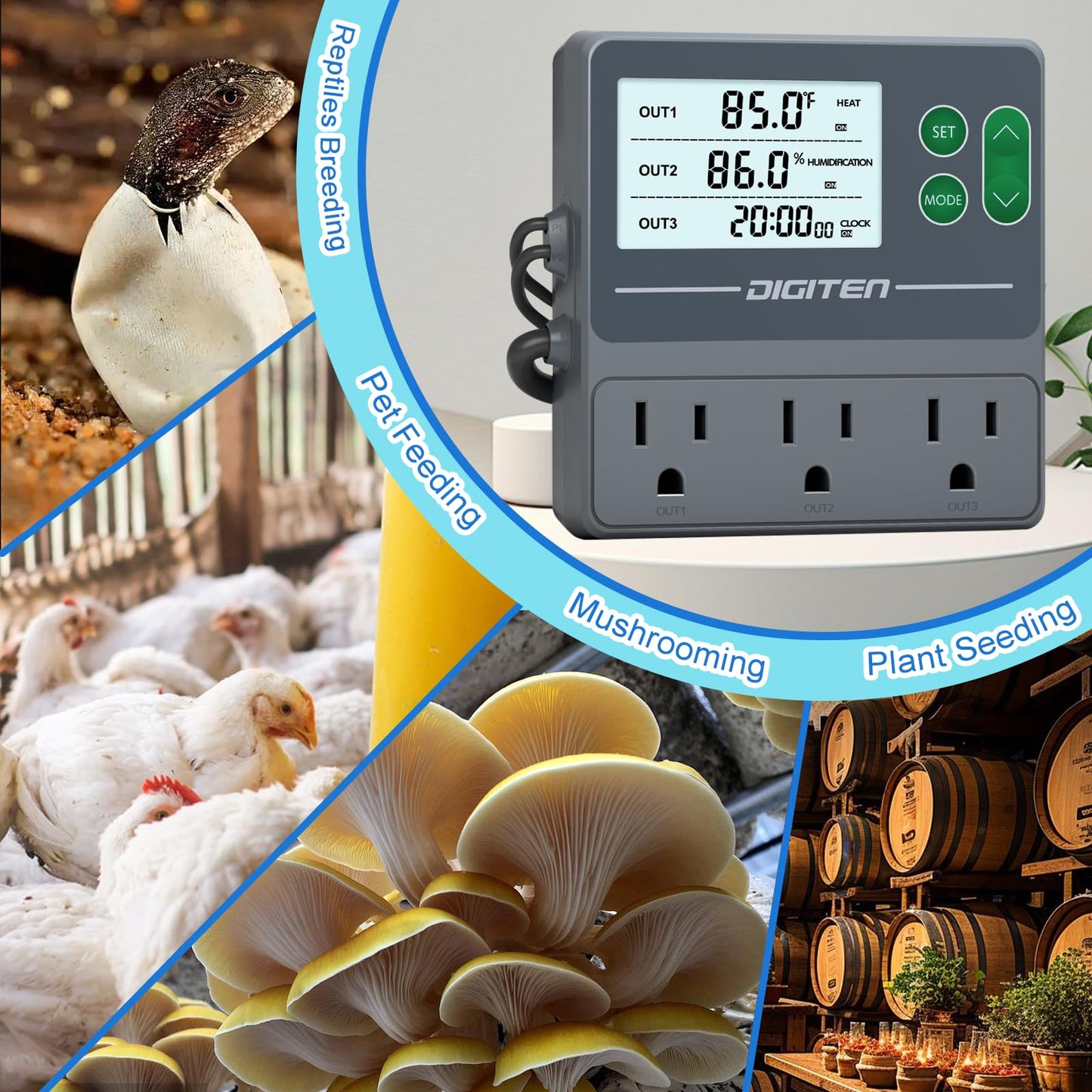DIGITEN Temperature and Humidity Controller with Timer - 3 Outlet, 2 Separate Probes, Plug in Temperature Controller for Reptiles,Snake, Mushrooms, Tent, Triple Control for Temp,Humidity,Time