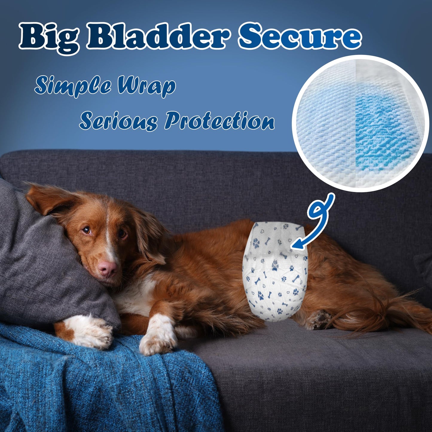 LeapSheep Disposable Male Dog Wraps, Super Absorbent Dog Diapers Male, Doggie Diapers for Puppy Training, Excitable Urination, Incontinence (Small, 50ct)