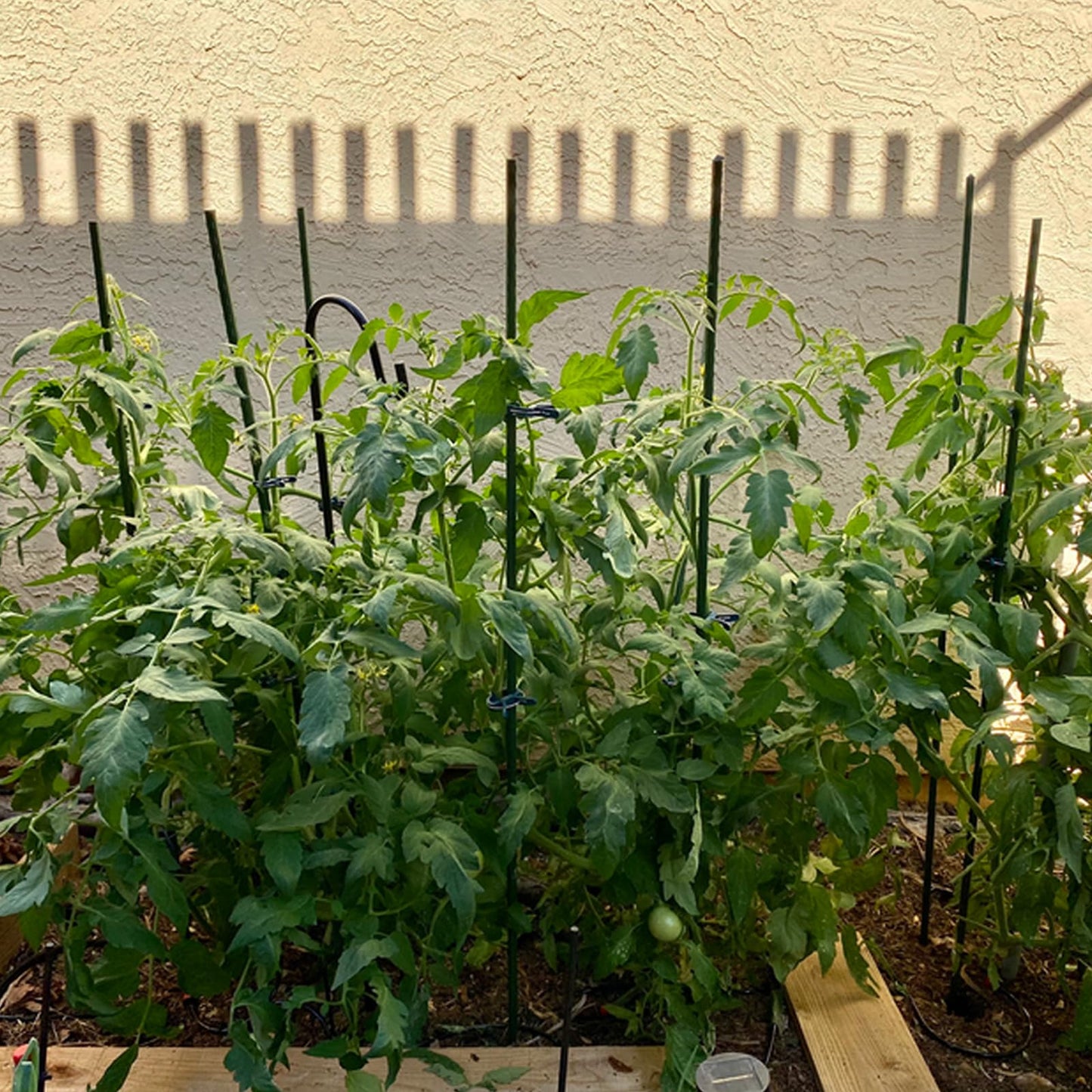 48 Inches Garden Stakes 30PCS, Plant Stakes Support for Gardening, Plastic Coated Metal Garden Stakes Supports Climbing for Tomatoes, Flower, Grapes, Bean