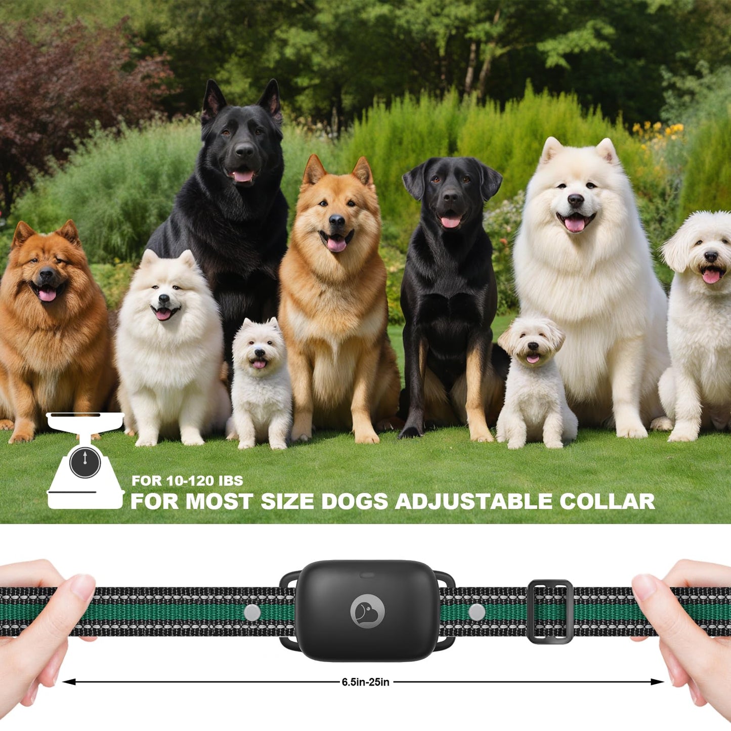 Heaflex Dog Training Collar, Electric Dog Collar with 2600FT Remote Range, Rechargeable & Waterproof, 3 Training Modes, Security Lock, Ideal for Dogs of All Breeds, Sizes
