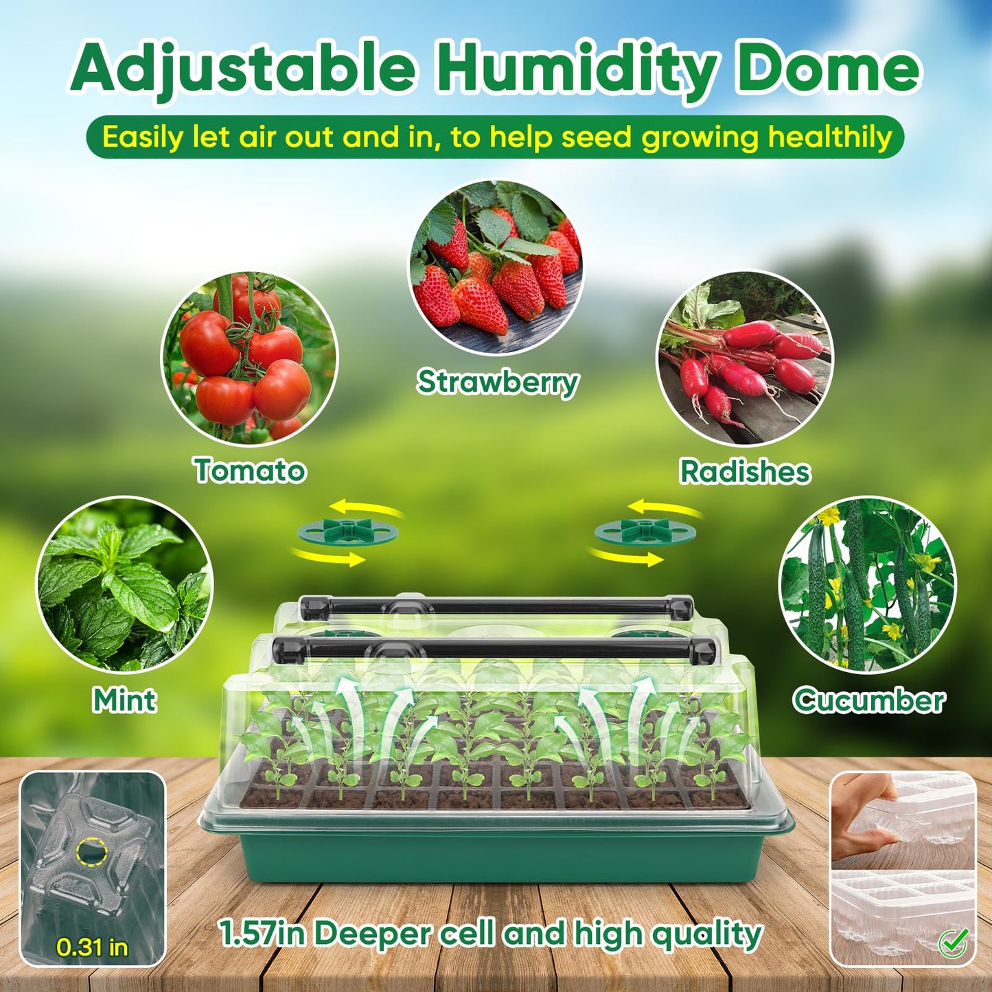 BlumWay Seed Starter Tray with Grow Light,80-Cells Seedling Tray with Humidity Dome/Indoor Grow Kit,1-24 Hours Timed Light Plant Starter Set