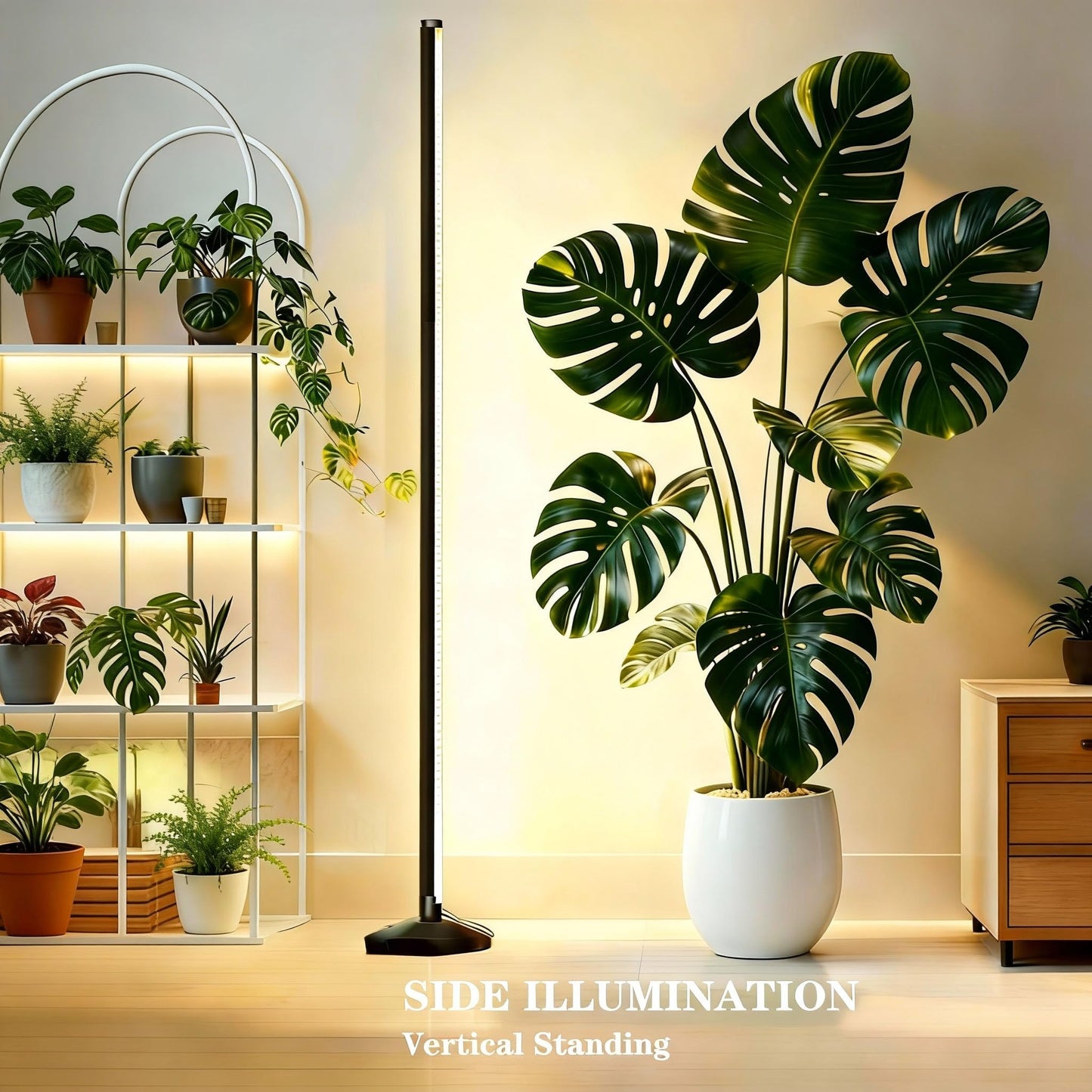 145CM Grow Lights for Indoor Plants: 36W, 6000K, 280 LEDs Full Spectrum Plant Light for Seed Starting with Timer and 10 Level Dimmable Standing Plant Growing Lamp for Greenhouse with Hanging Accessory
