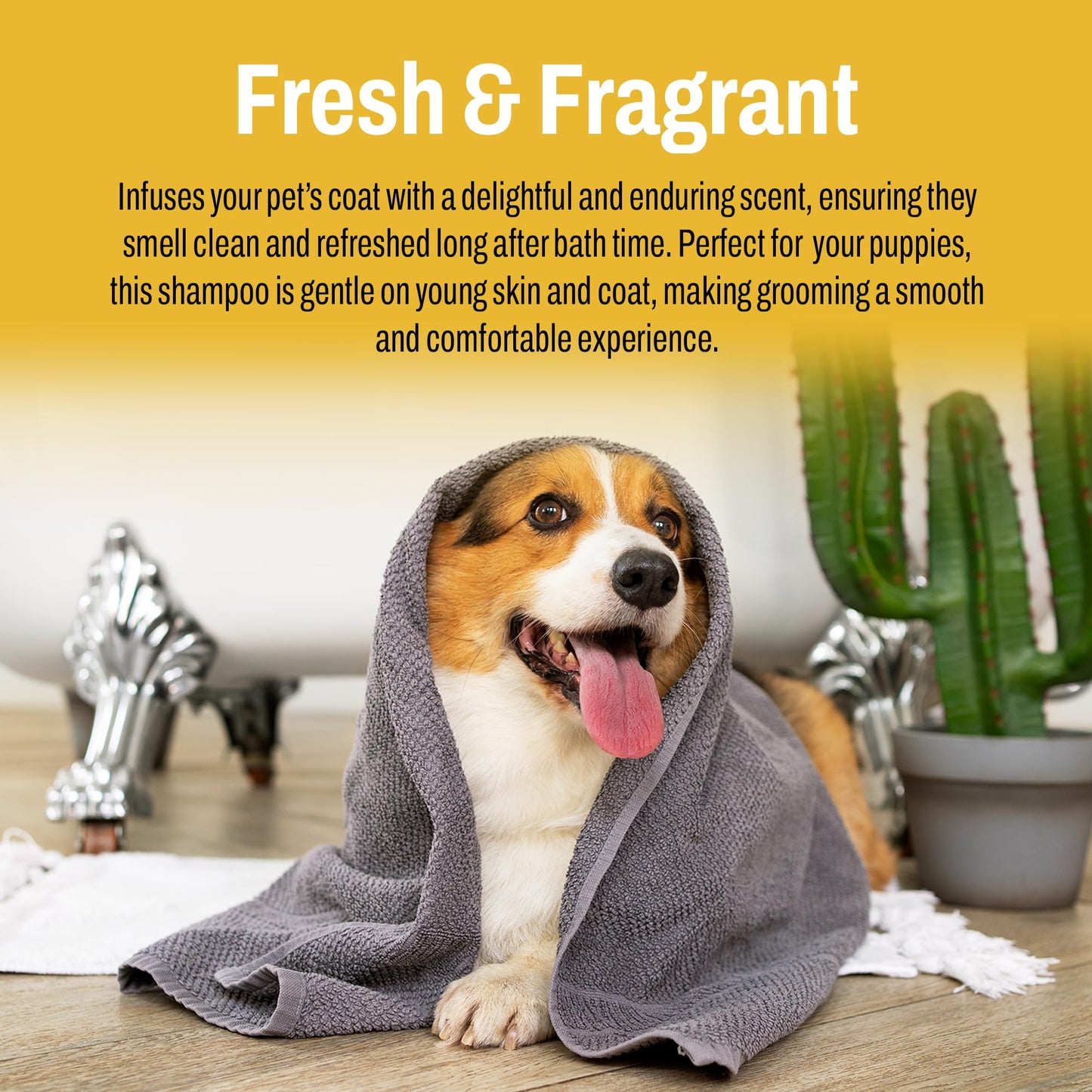 Puppy Shampoo - All Natural and Hypoallergenic with Aloe and Coconut Soothing for Normal Dry Itchy or Allergy Sensitive Skin - Moisturizing & Nourishing Pet Grooming Organic Dog Shampoo, 1 Gallon