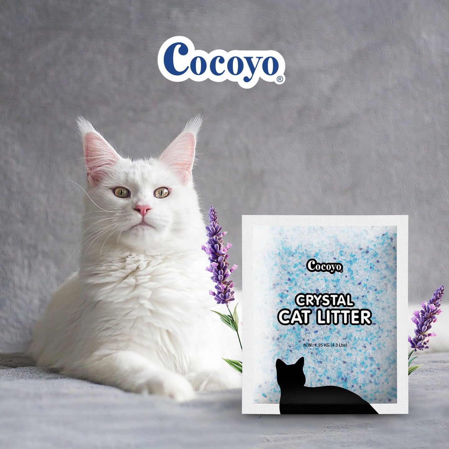 COCOYO Lavender-Scented Crystal Cat Litter I Silica Gel Cat Litter – 17.2 Lbs Value Pack (4.3 Lbs x 4)