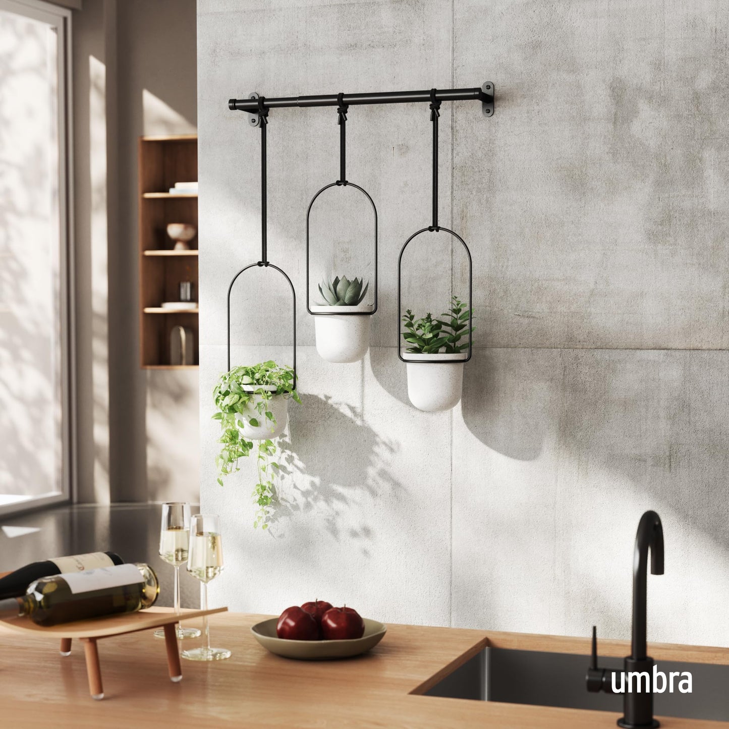 Umbra Triflora Hanging Planter for Window, Indoor Herb Garden, White/Black
