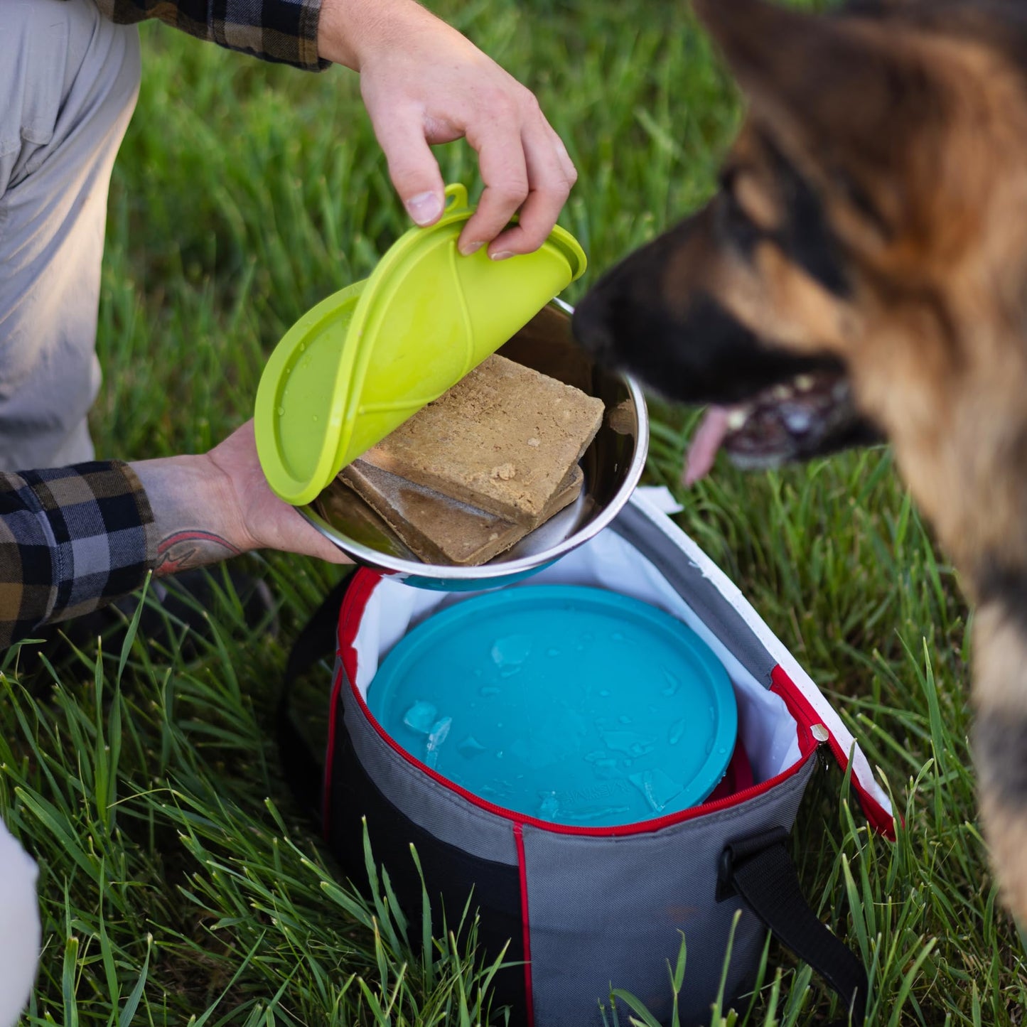 Messy Mutts 6-Piece Set | Three Stainless Steel Bowls and Three Colorful Silicone Lids | Sealable Travel Containers | Portable Food/Water Dishes for Pets | Extra Large, 6 Cups