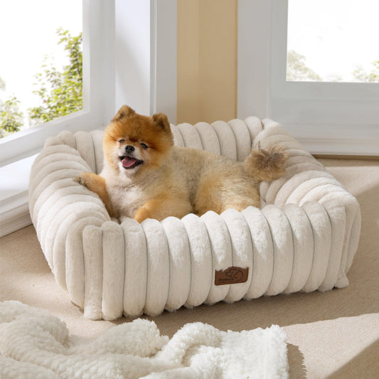 Bedsure Cute Dog Bed for Small Medium Dogs - Washable Furry Puppy Beds, Rectangle Orthopedic Corduroy Fleece Pet Beds with Removable Zipper Cover, Cream, 25Inches