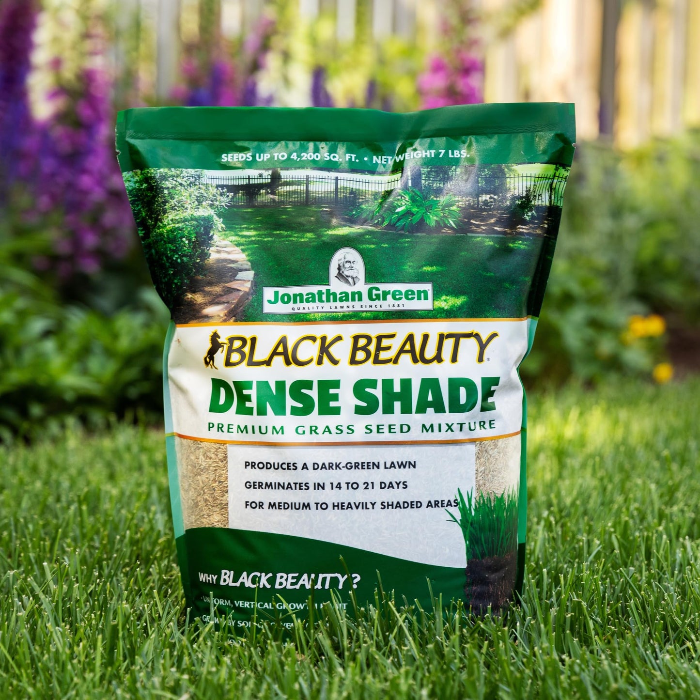 Jonathan Green & Sons, 3 lb, Dense Shade Grass Seed Mixture