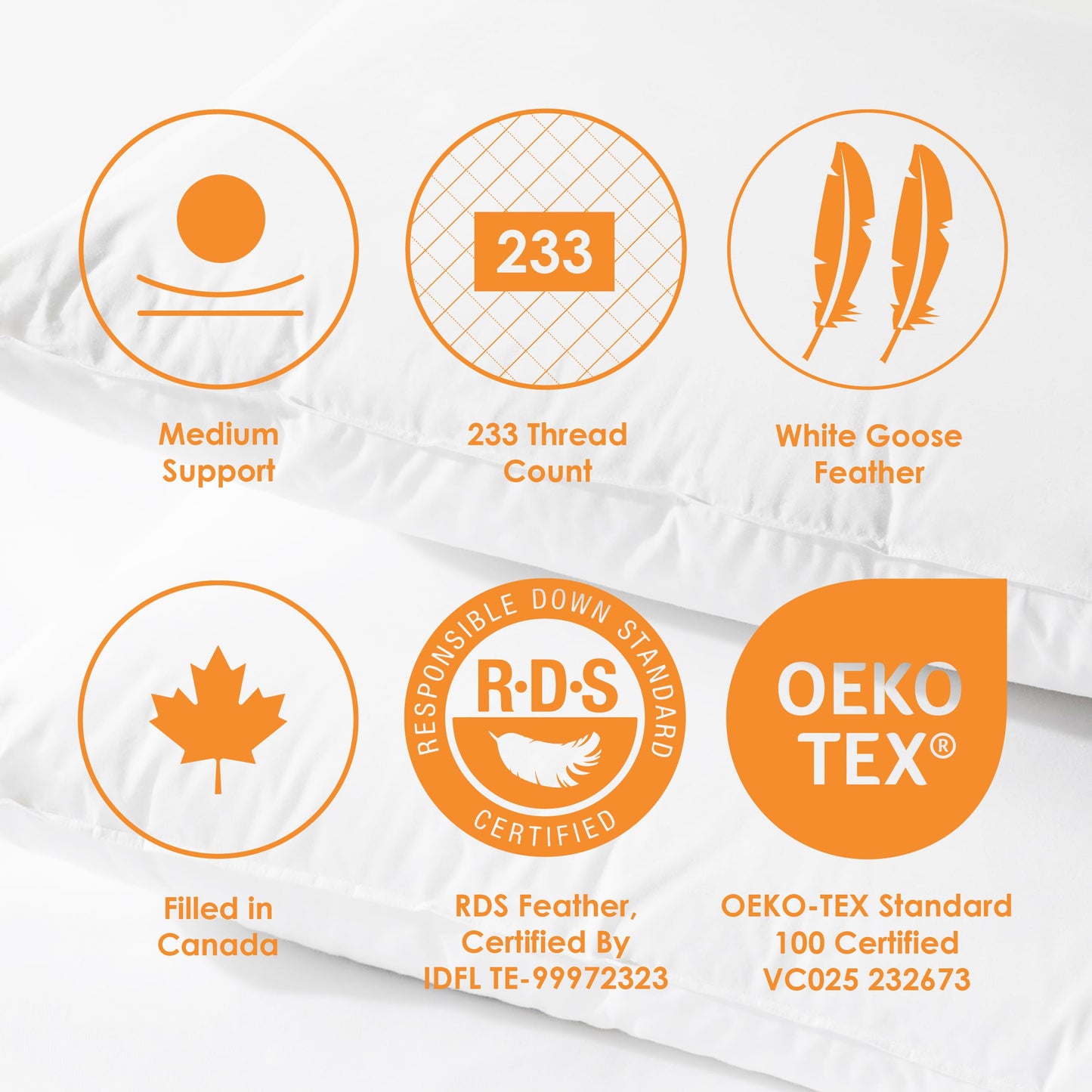 Canadian Down & Feather Co. – 2 Pack Medium Support White Goose Feather Pillow King Size – 255 TC Shell 100% Cotton – Filled in Canada