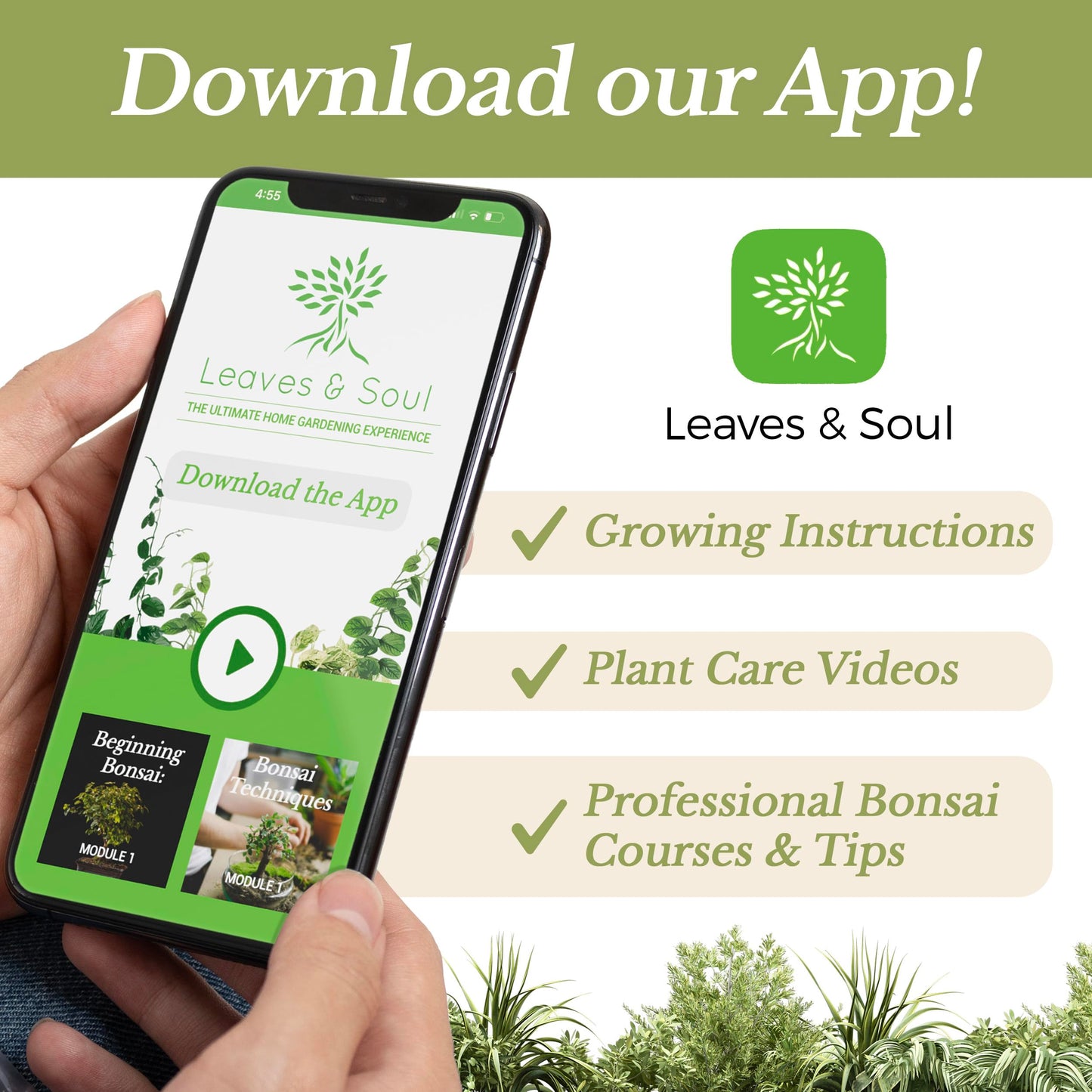 Professional Liquid Gardenia Plant Fertilizer | 3-1-2 Concentrate for Flowering Plants | Multi-Purpose Blend & Gardening Supplies | 8 oz Bottle