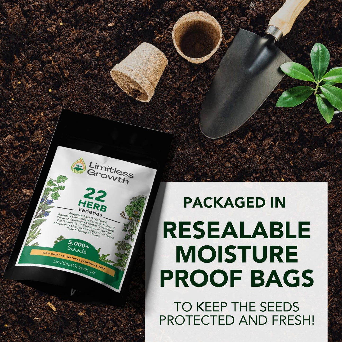 Herb Seed Pack | 22 Herb Varieties for Planting Canadian Climates | Arugula, Basil, Borage, Chamomile, Caraway, Chervil, Chive & More | Beginner-Friendly Indoor Herb Garden Kit | Limitless Growth