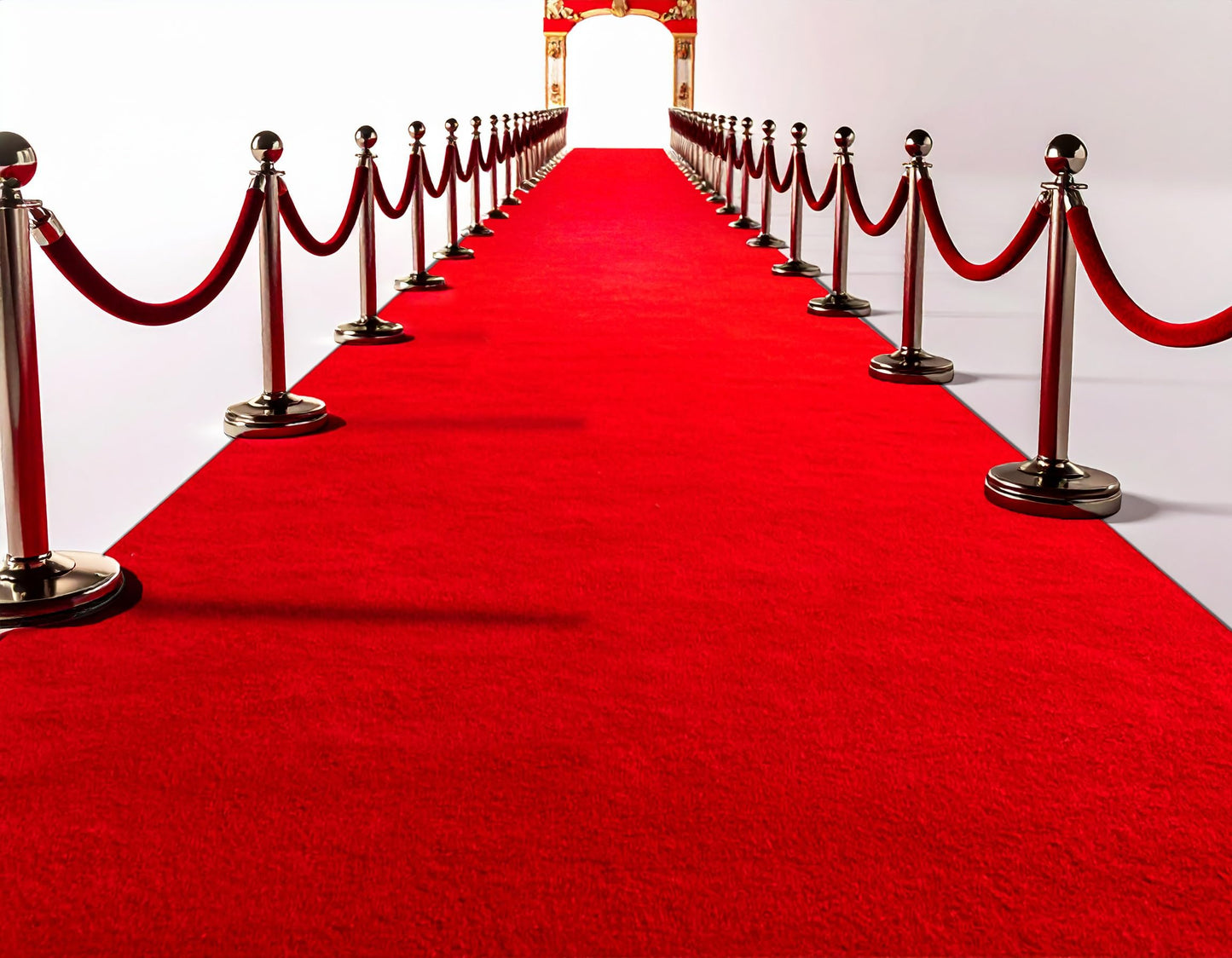 Thick 3x10Ft Red Carpet Runner for Party, Non-Slip TPR Backing Aisle Runway Rug Felt for Indoor&Outdoor,Occasions,Graduation,Birthdays & Special Events Decorations,Long Term use