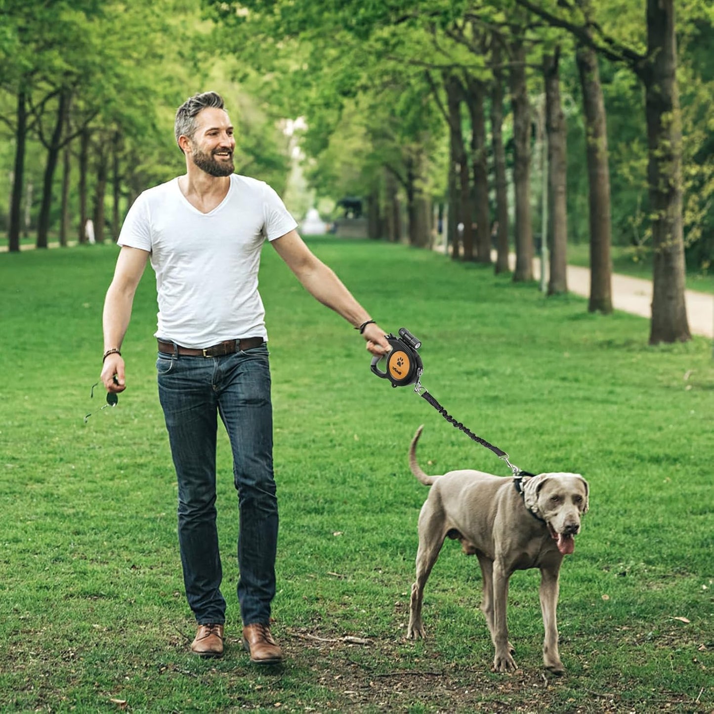 BINGPET Dual Retractable Dog Leash for Dogs Walking,26ft Heavy Duty Double Dog Leash for Two Dogs with LED Flashlight,Poop Bags,Reflective Elastic Rope,360° Tangle-Free,Up to 110 lbs / 50 kg