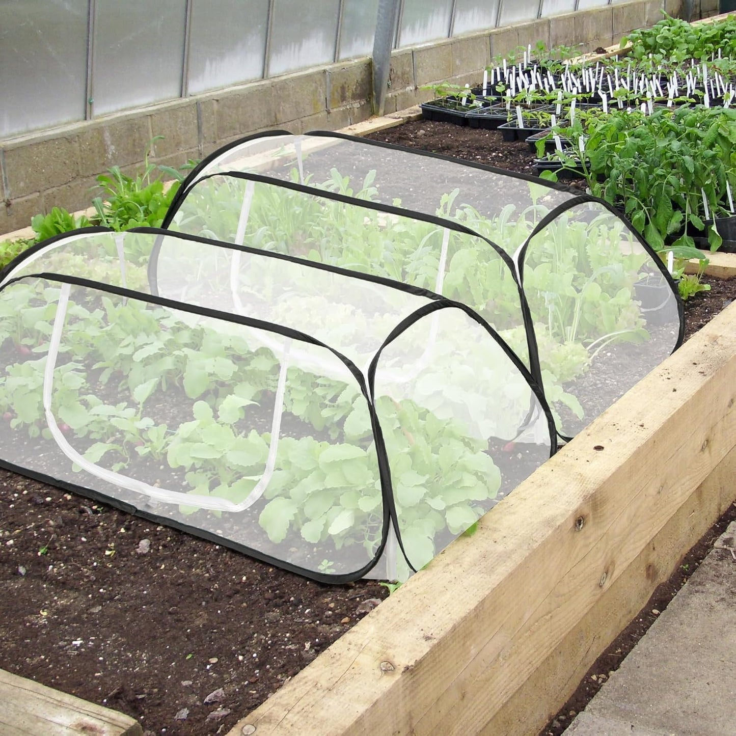 2 Pcs 45x22x16 Garden Row Accelerator Plants Cover - Pop Up Raised Garden Bed Vegetable Rows Plant Protector,Insect Bird Barrier Net Cage with Stakes for Protecting Seedlings Fruits Vegetable Row