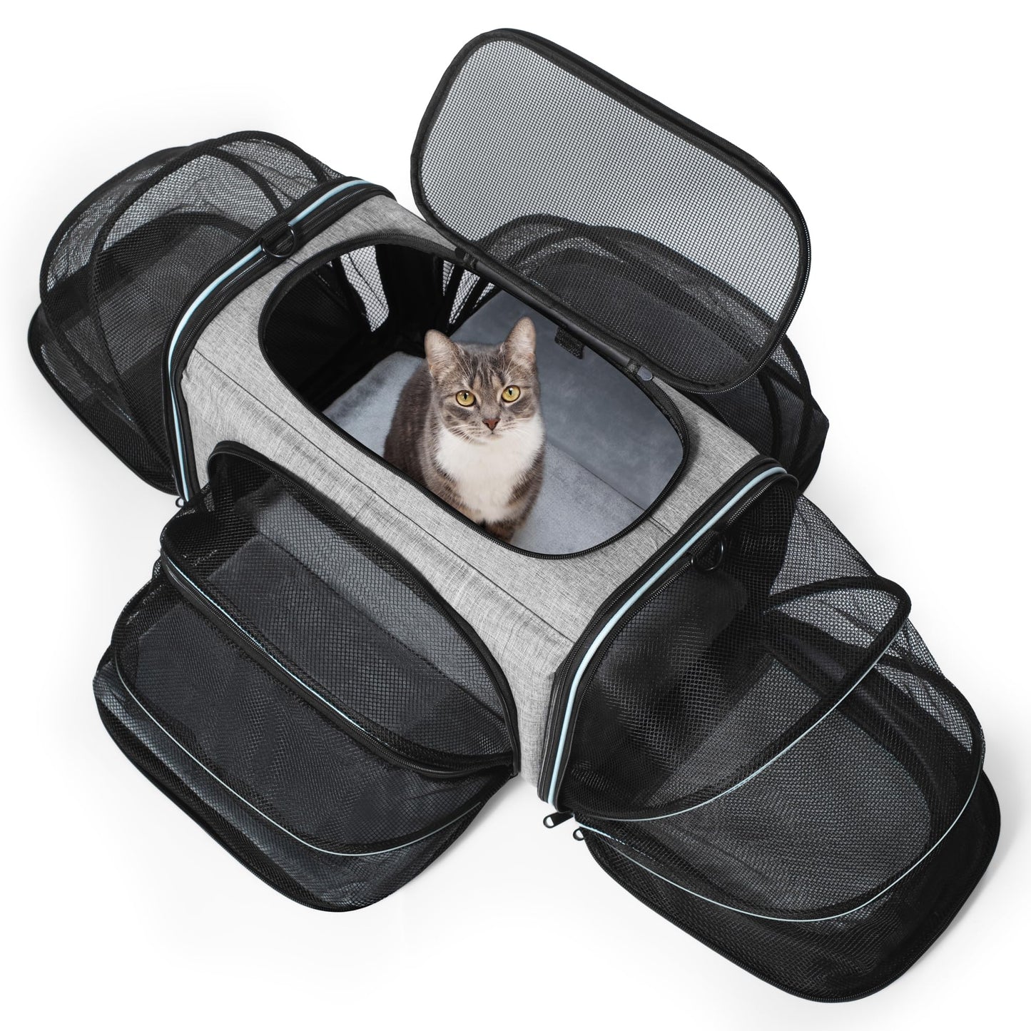 Siivton Cat Carrier,4 Sided Expandable Pet Carrier for Travel,Collapsible Soft-Sided Carriers with Removable Fleece Pad and Shoulder Straps,Airline Approved(17.5"x 11"x 11")