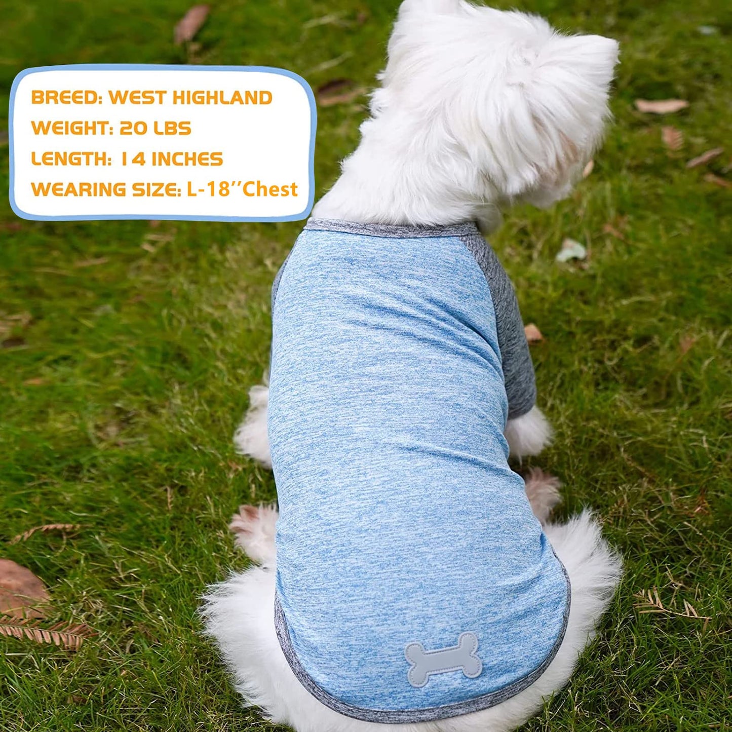 KYEESE 2 Pack Dog Shirts Quick Dry Raglan Sleeve Soft Stretchy Dog T-Shirts with Reflective Label Pet Clothes for Small Dogs