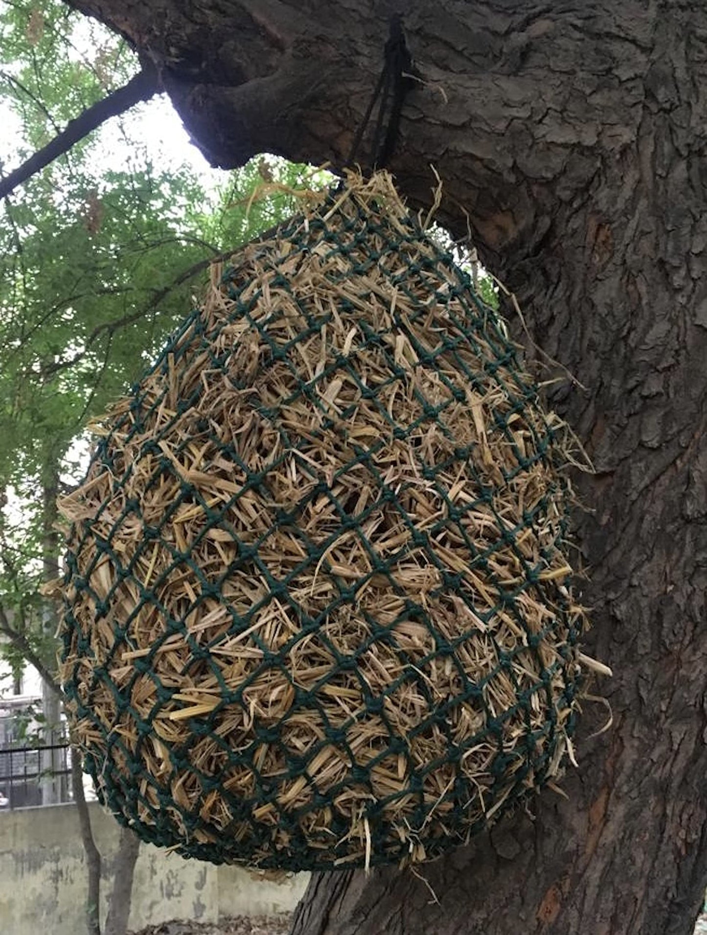 Majestic Ally 2 Pcs 1.25”x1.25” Holes Ultra Slow Feed 40” Very Sturdy Hay Net with Bottom Ring for Goat, Sheep and Livestock Simulatr grazing, Reduces Waste (Hunter Green)