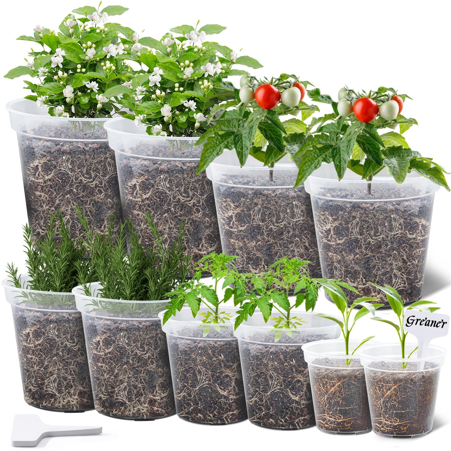 GREANER Clear Plant Pots, Plastic Planters for Indoor Plants, Seed Starting Pot with Drainage Holes, 4/5/6/7/8 Inch(10 Packs)