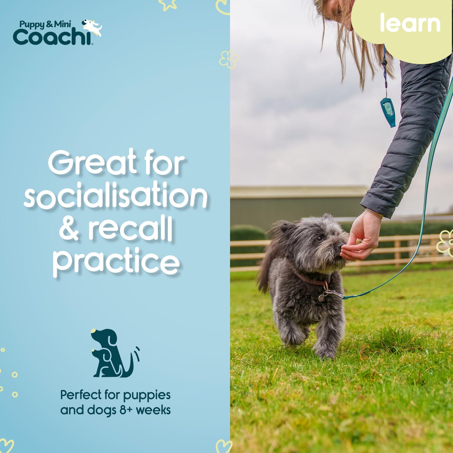 Coachi Puppy & Mini Waterproof Training Line - Safe Outdoor Recall Training, Dog & Puppy Socialisation, Lightweight, Prevents Chasing. Suitable for Puppies and Small Dogs (5 m)