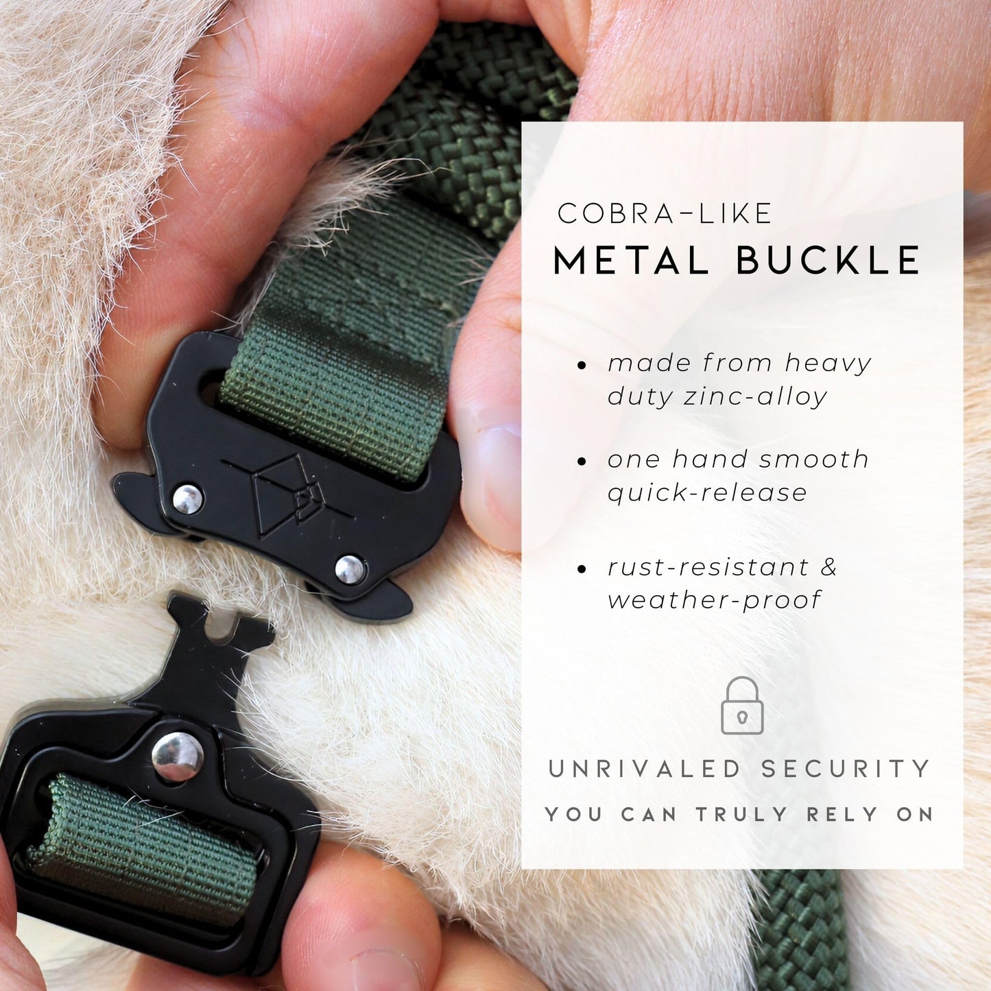 Made to ROAM Premium Dog Collar - Adjustable Heavy Duty Nylon Collar with Quick-Release Metal Buckle (Arizona Heartbeat, Classic Size 4)