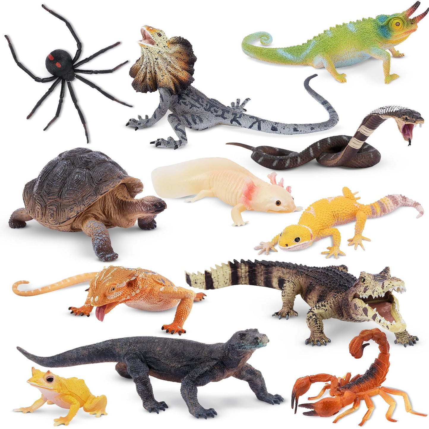TOYMANY 12PCS Reptile Animal Figurine Toy Set，Cold Blooded Amphibians Jungle Animals Figures with Dragon Lizard Snake Chameleon Halloween Birthday Gift Party Favor School Project for Kids Toddlers