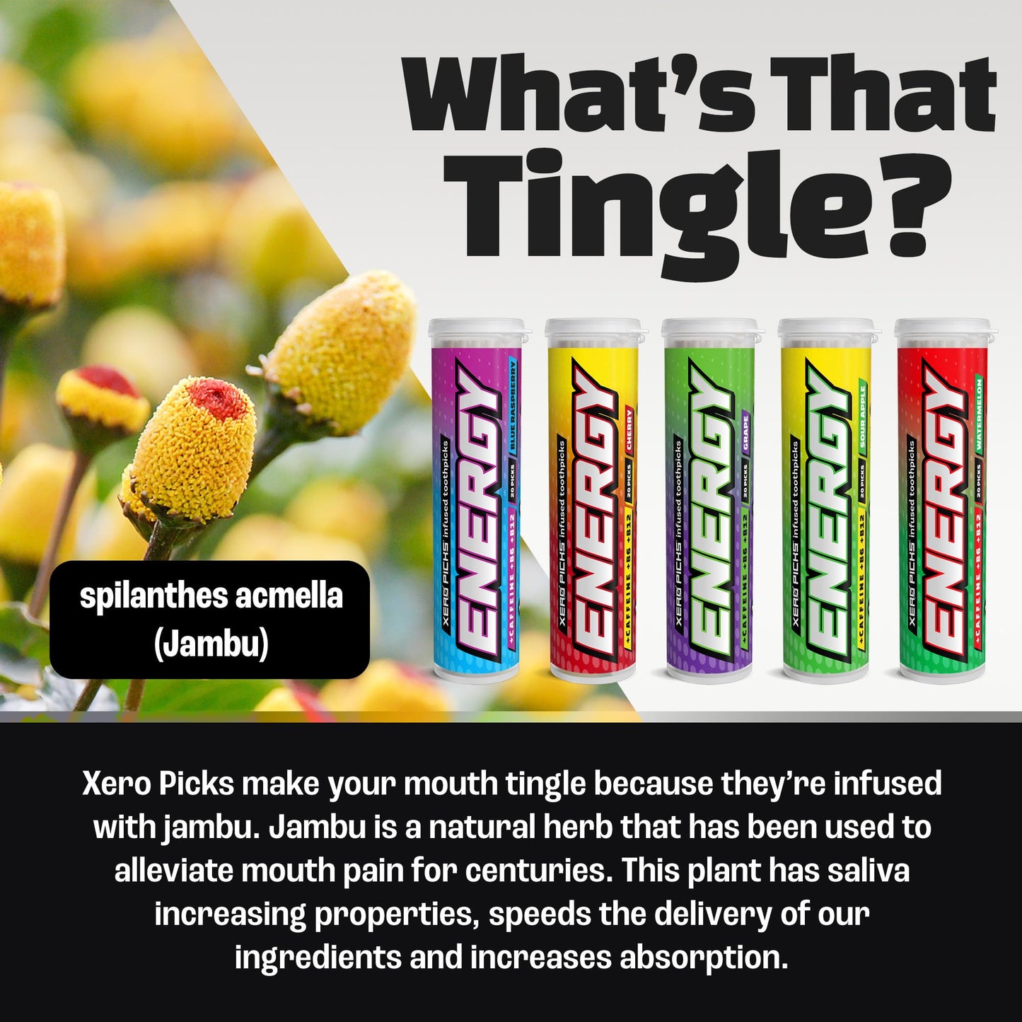 Xero Picks Energy Infused Flavored Toothpicks with Caffeine, B12 & B6-100 Picks (5 Pack Variety)