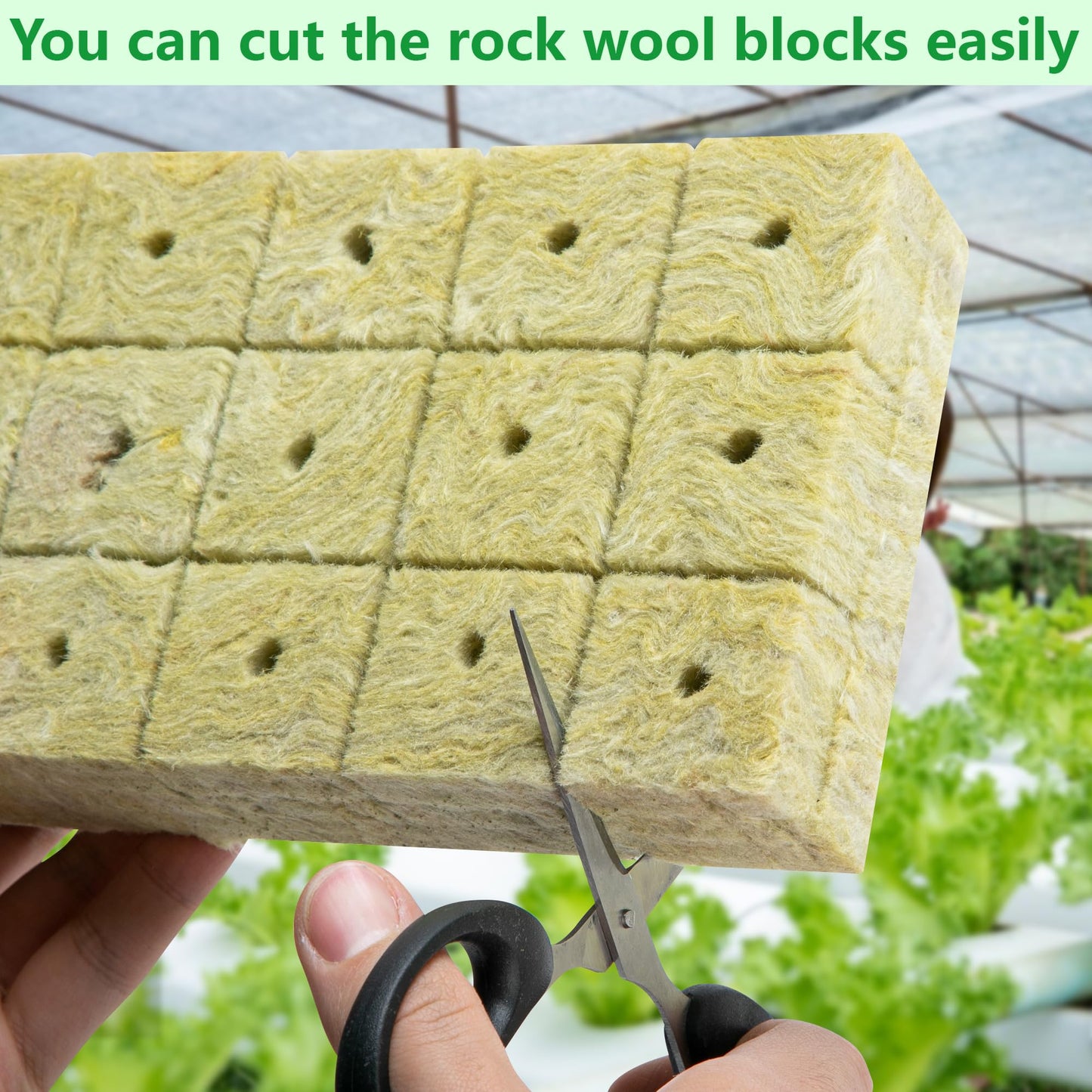 126Pcs Rockwool Grow Cubes - 1.5 Inch Stonewool Starter Plugs for Rapid Plant Growth - Starter Cubes Plugs with Holes for Hydroponic, Seeds Germination and Soilless Growing